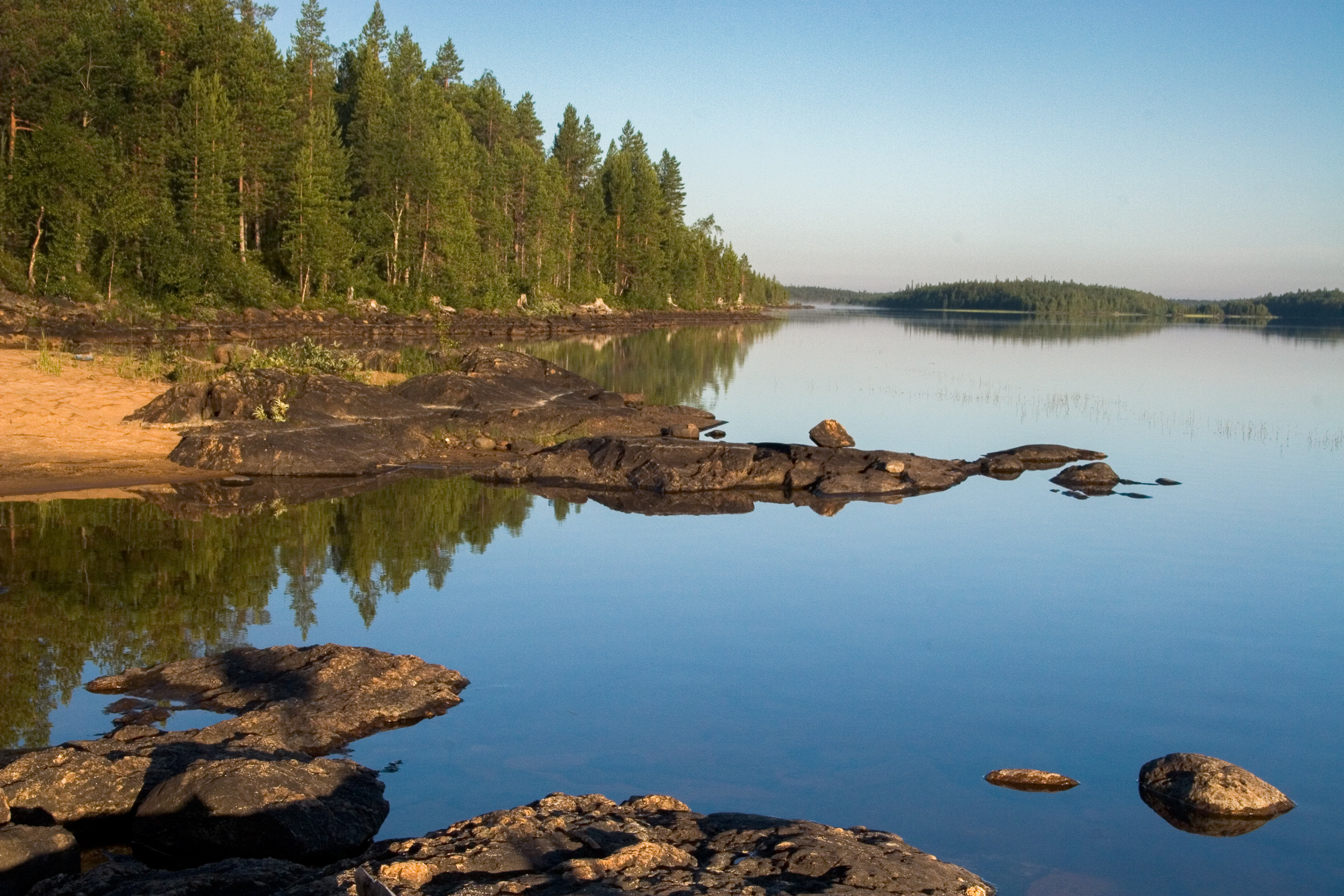 Татьяна Корчагина. Фотограф, художник. Обучение фотографии