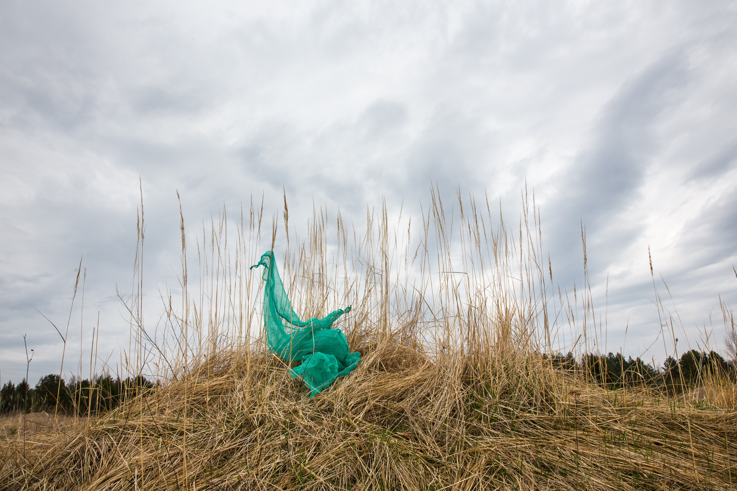 Татьяна Корчагина. Фотограф, художник. Обучение фотографии