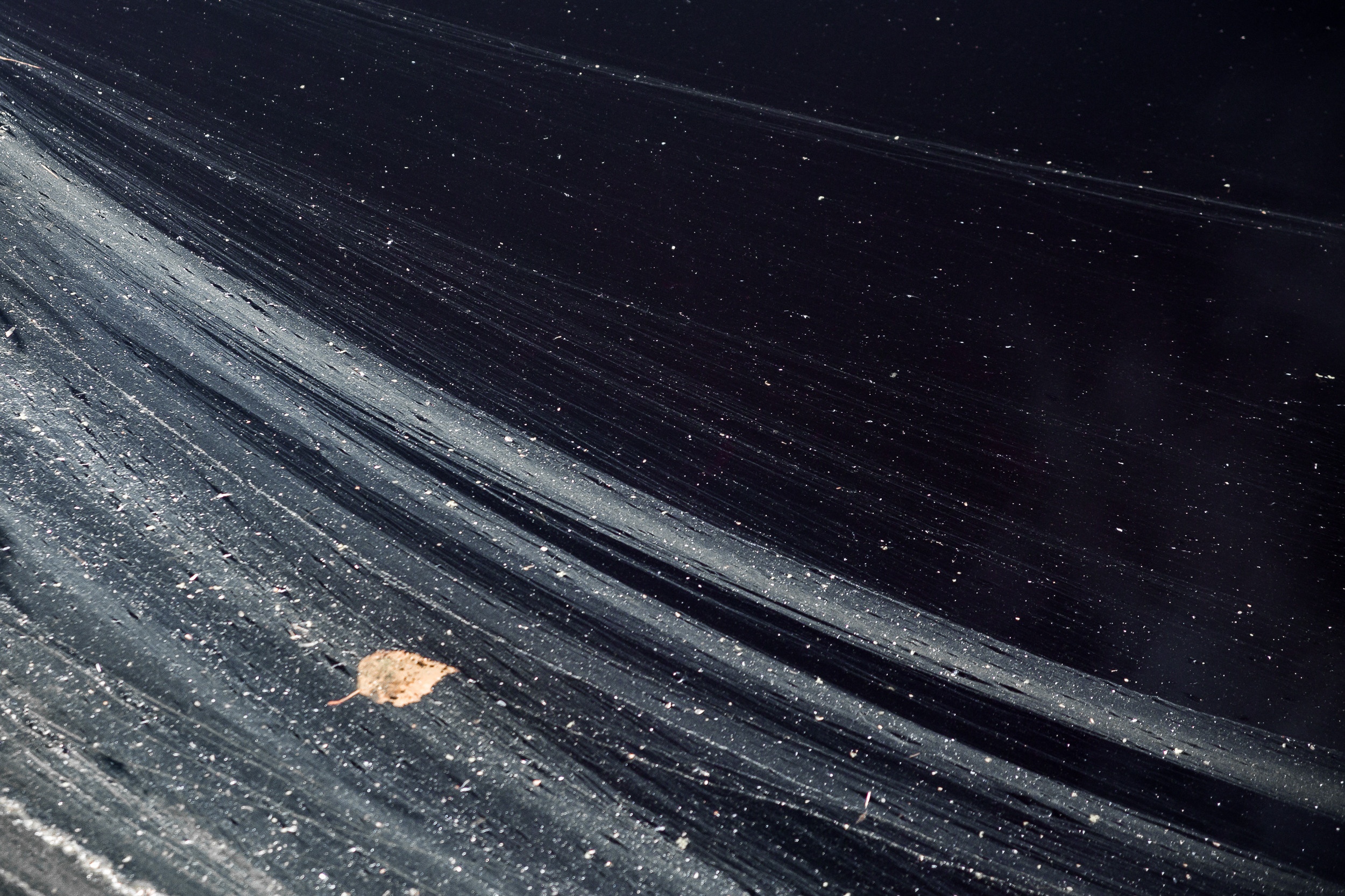 Татьяна Корчагина. Фотограф, художник. Обучение фотографии