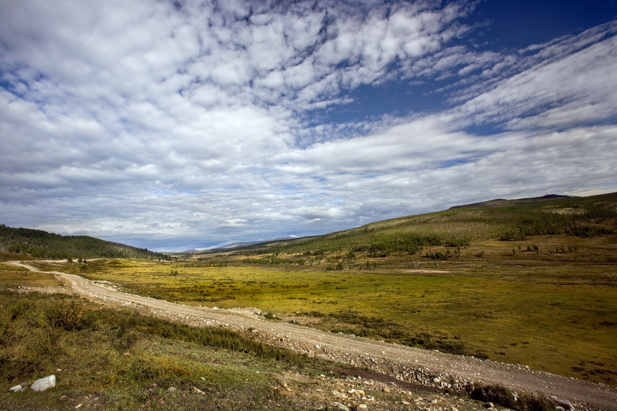 Татьяна Корчагина. Фотограф, художник. Обучение фотографии