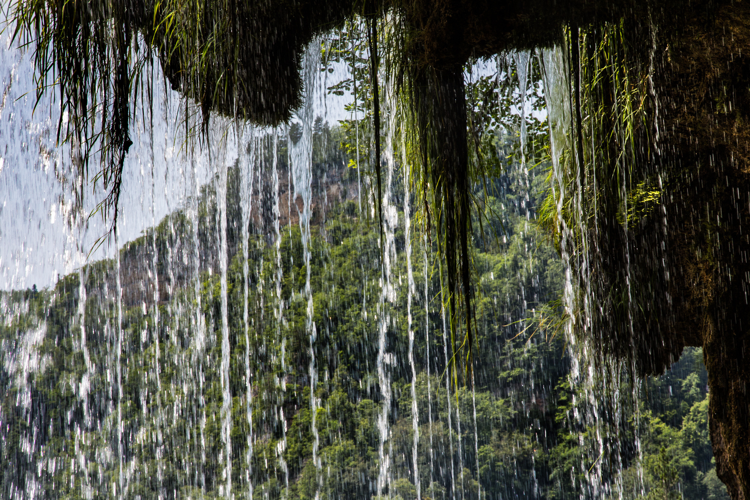 Татьяна Корчагина. Фотограф, художник. Обучение фотографии