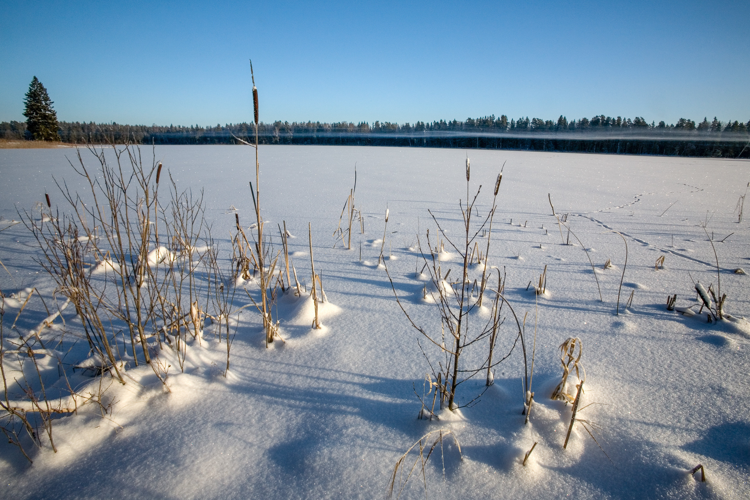Татьяна Корчагина. Фотограф, художник. Обучение фотографии