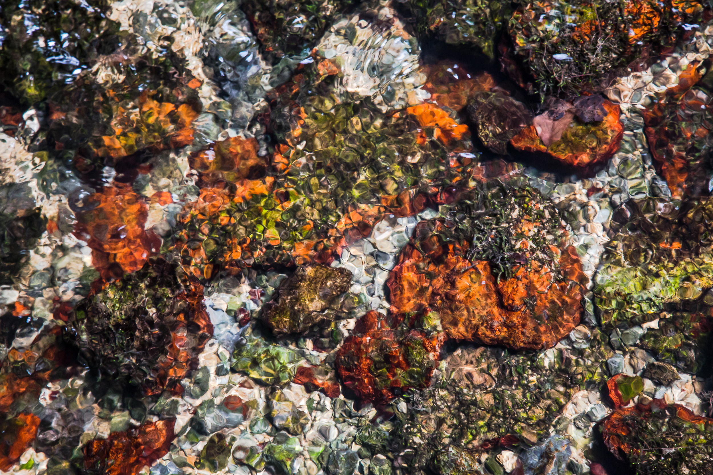 Татьяна Корчагина. Фотограф, художник. Обучение фотографии