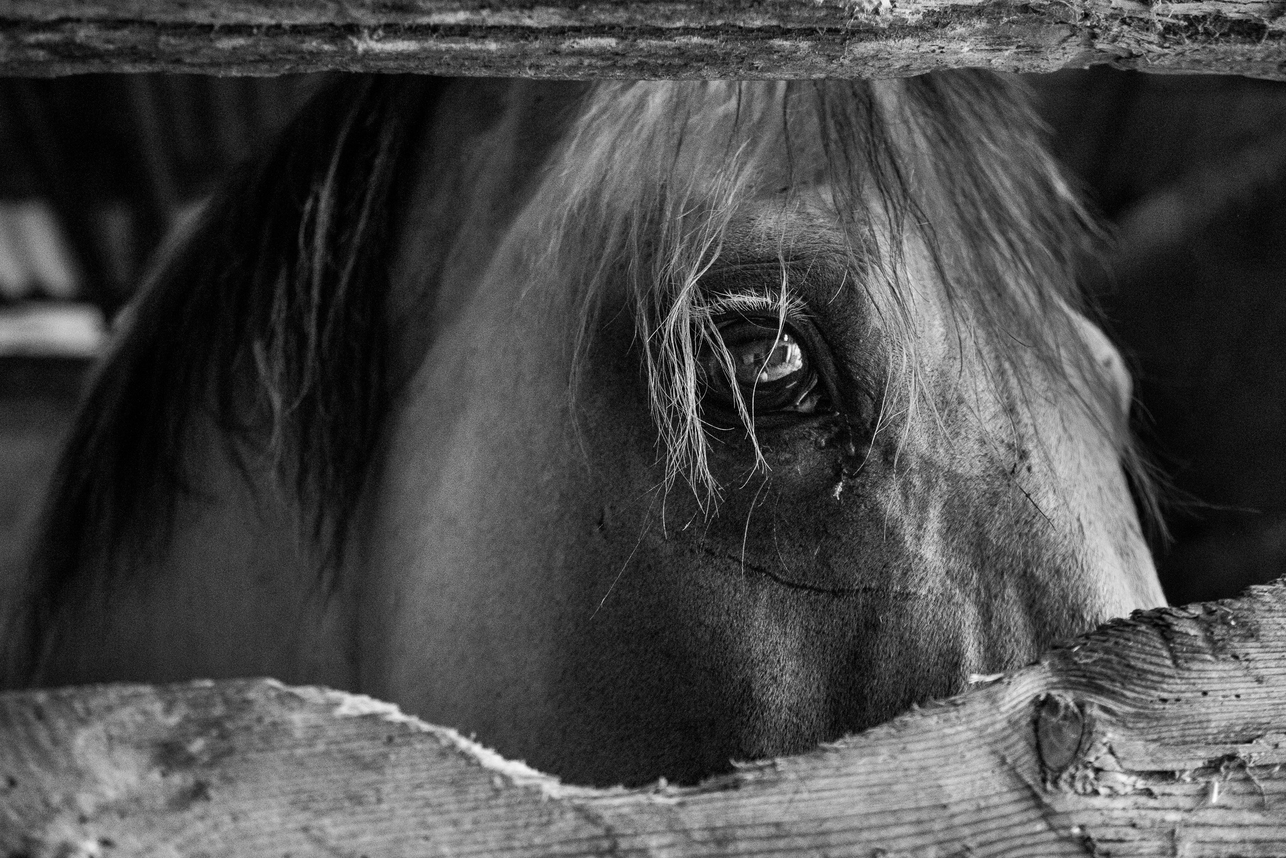 Татьяна Корчагина. Фотограф, художник. Обучение фотографии