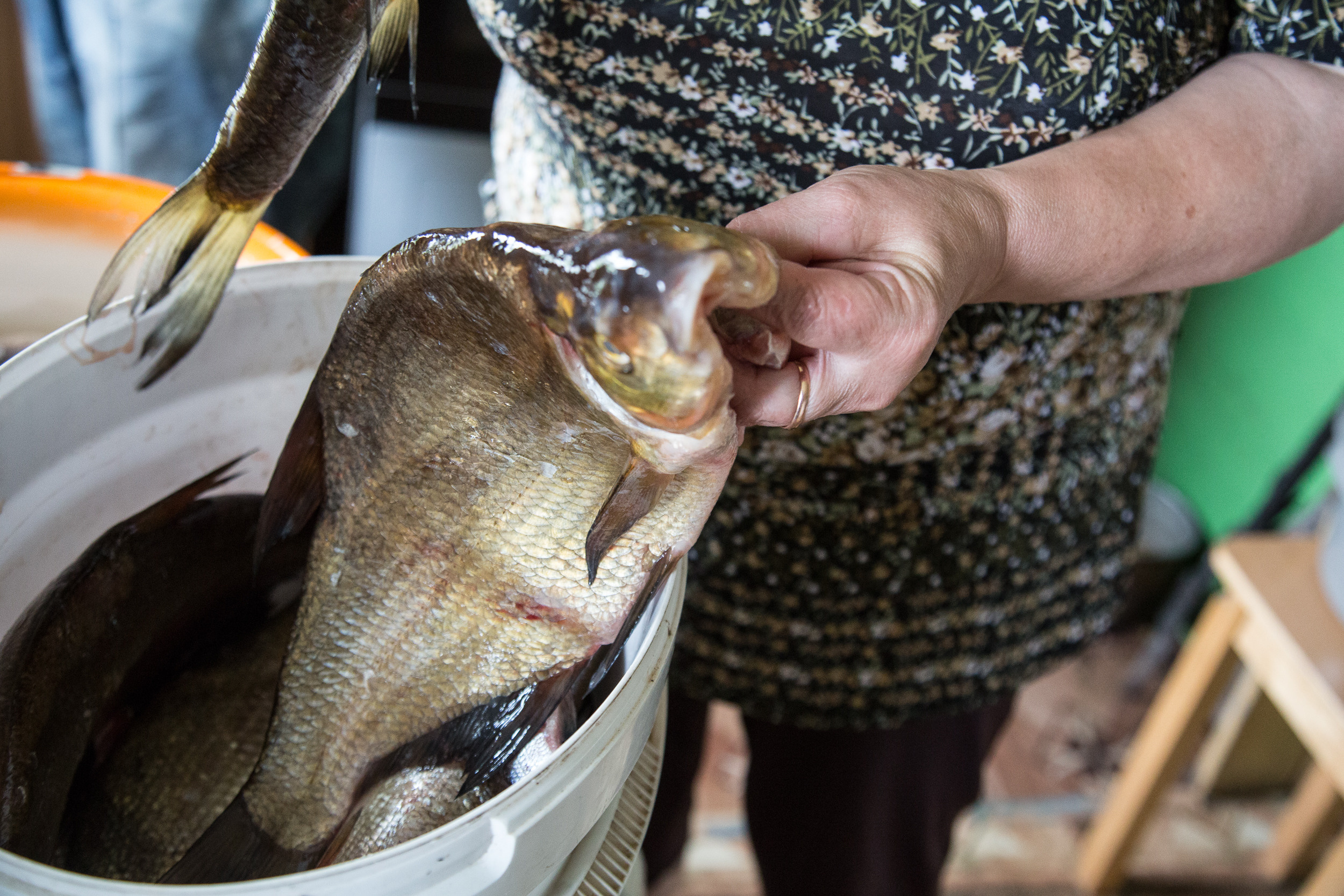 Татьяна Корчагина. Фотограф, художник. Обучение фотографии