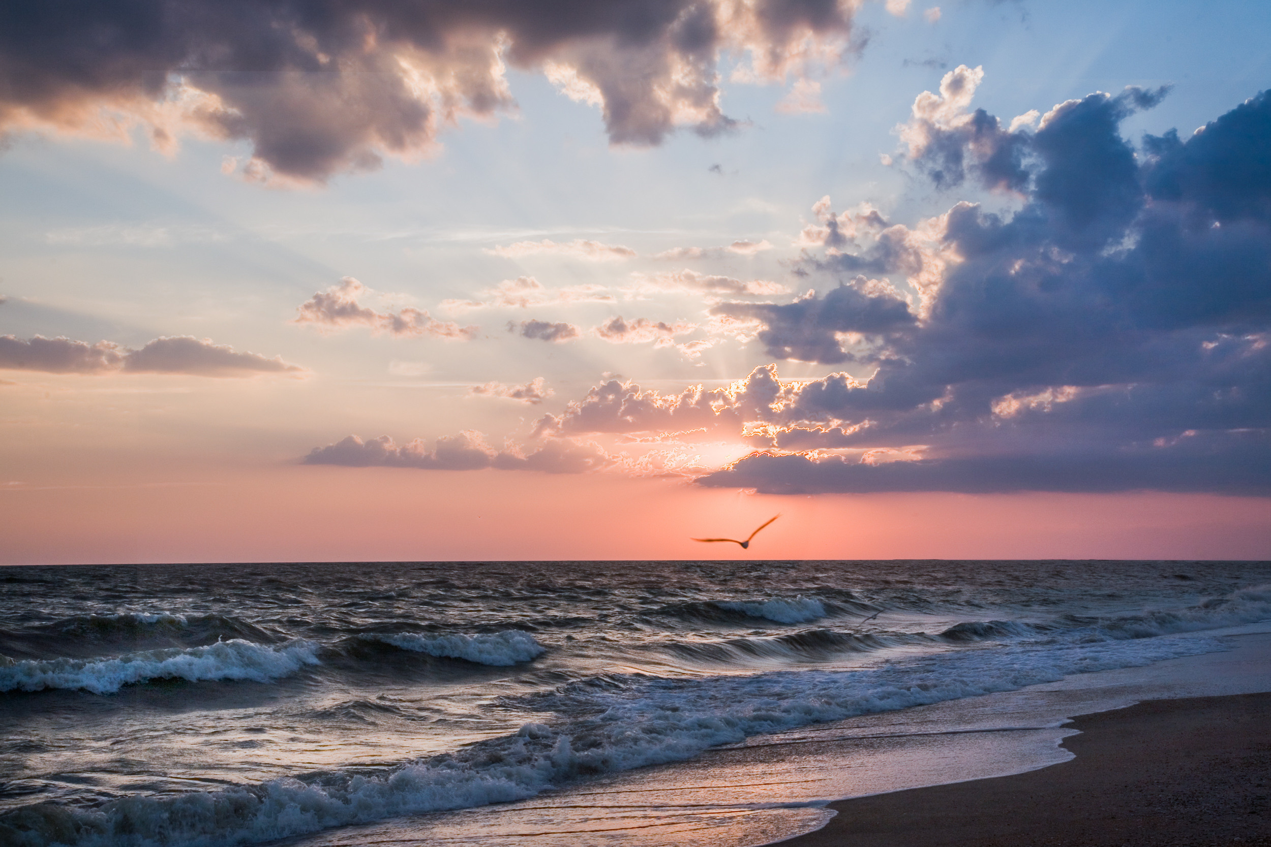 Татьяна Корчагина. Фотограф, художник. Обучение фотографии
