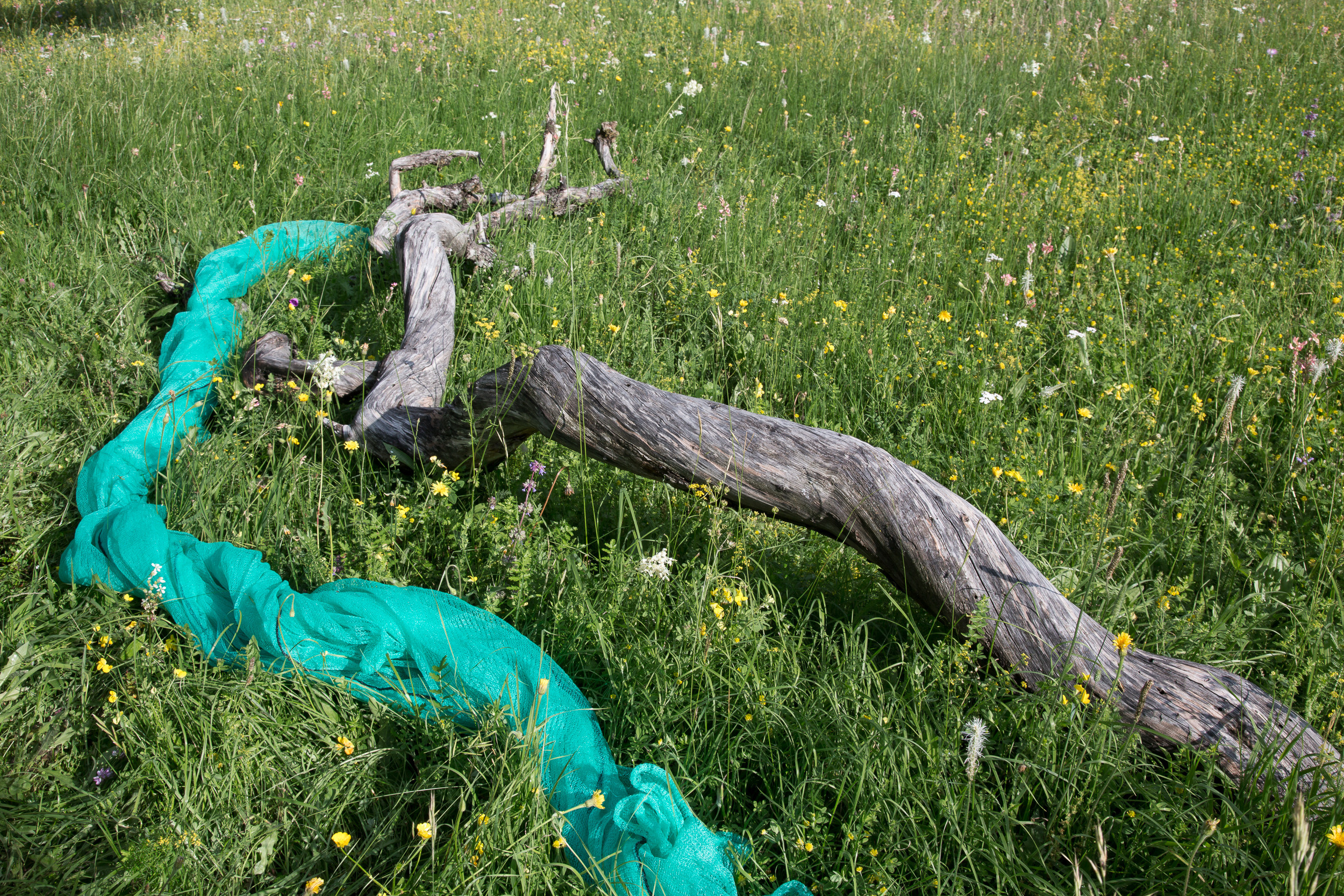 Татьяна Корчагина. Фотограф, художник. Обучение фотографии