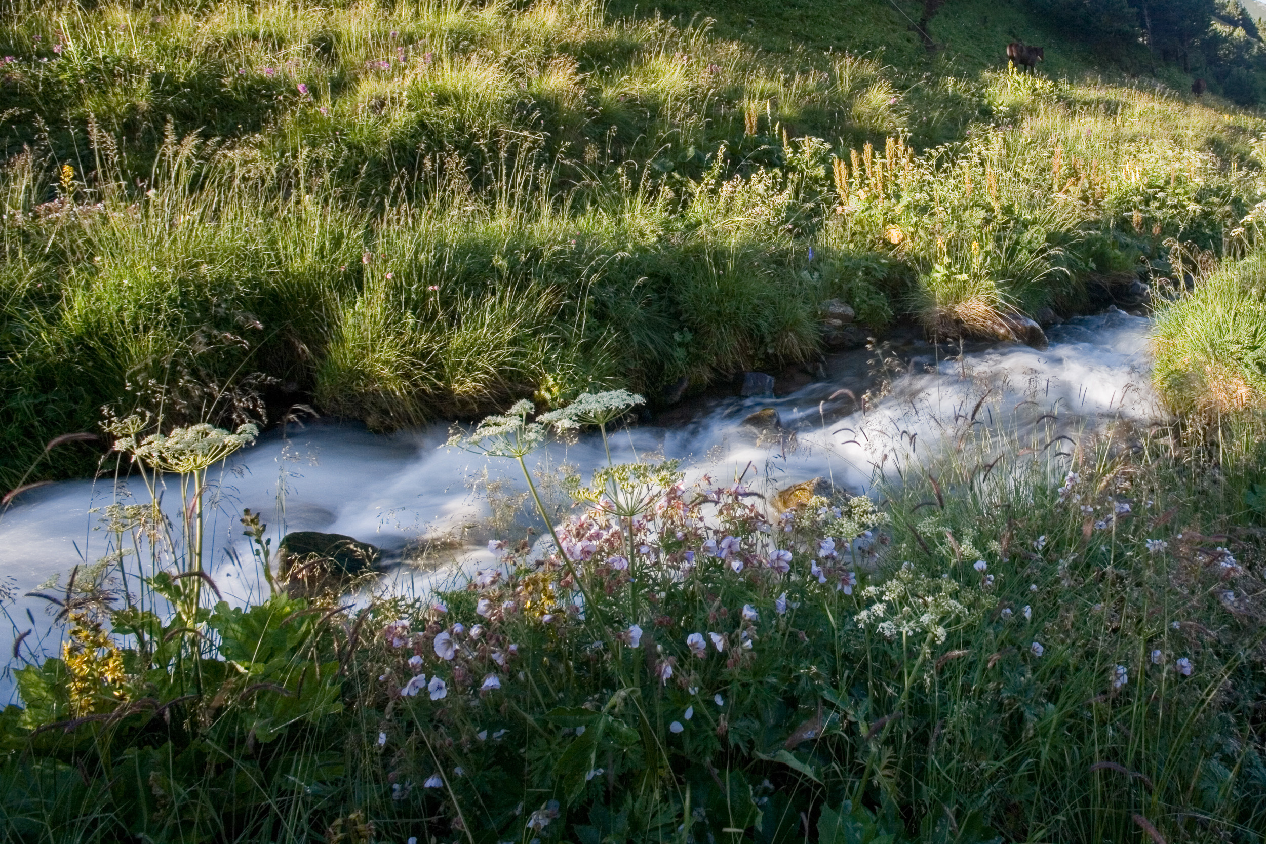 Татьяна Корчагина. Фотограф, художник. Обучение фотографии