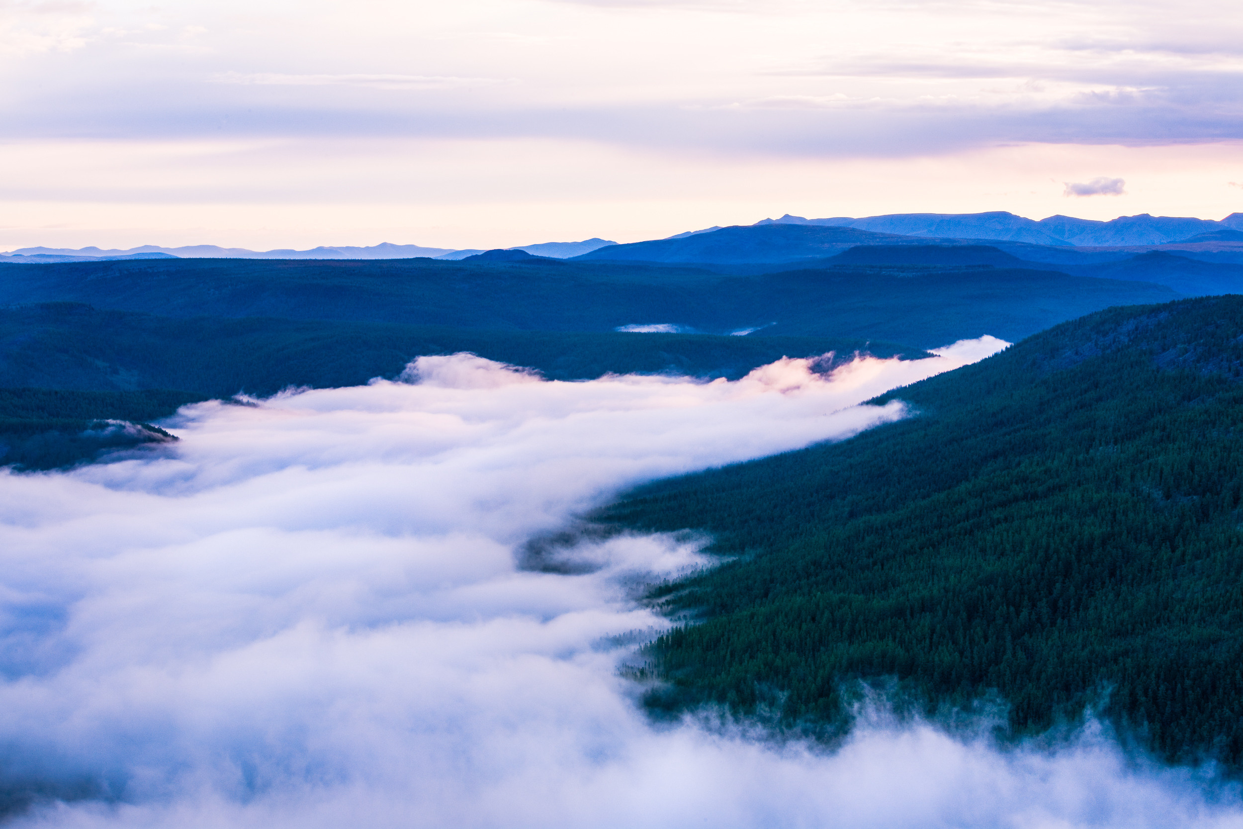 Татьяна Корчагина. Фотограф, художник. Обучение фотографии