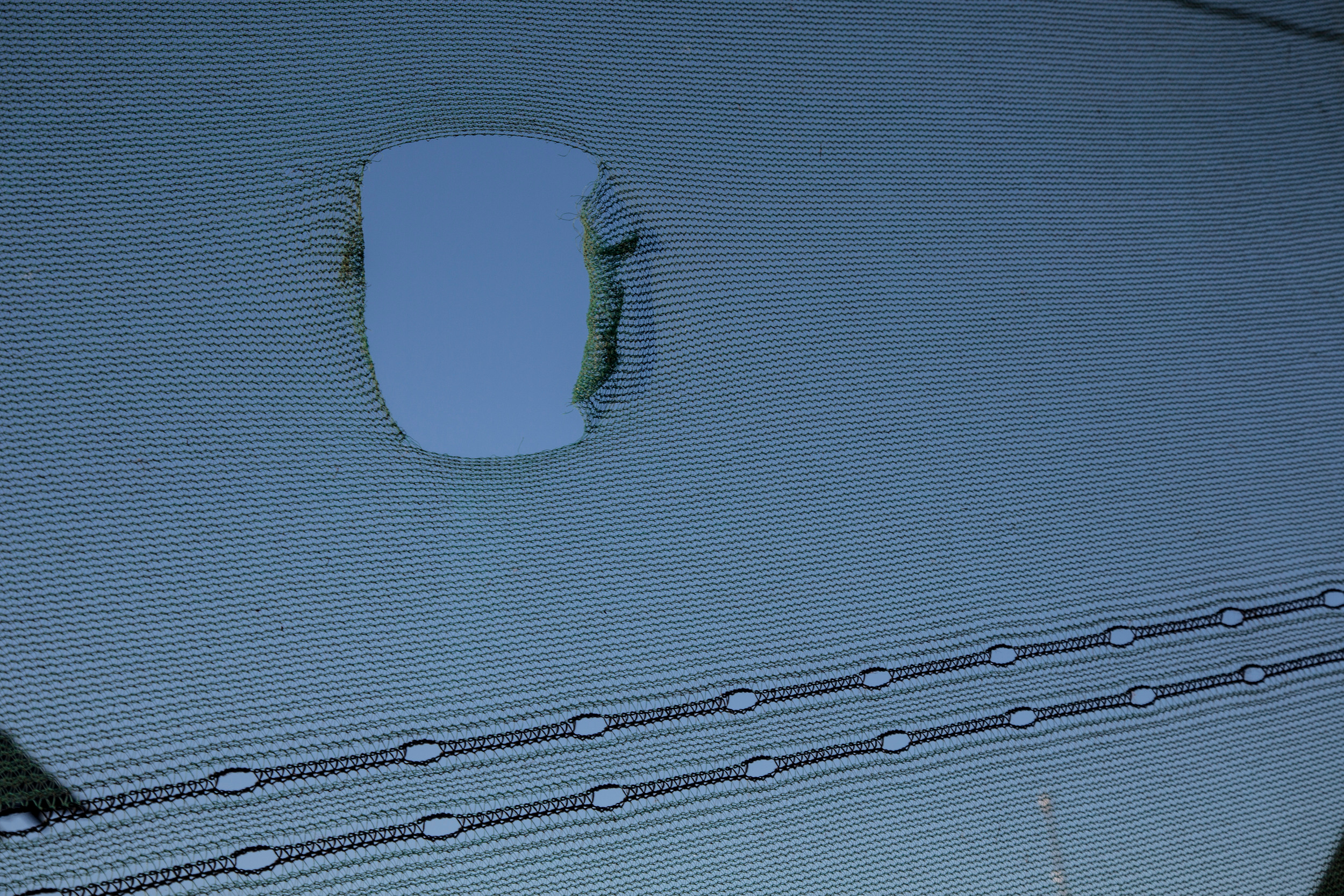 Татьяна Корчагина. Фотограф, художник. Обучение фотографии