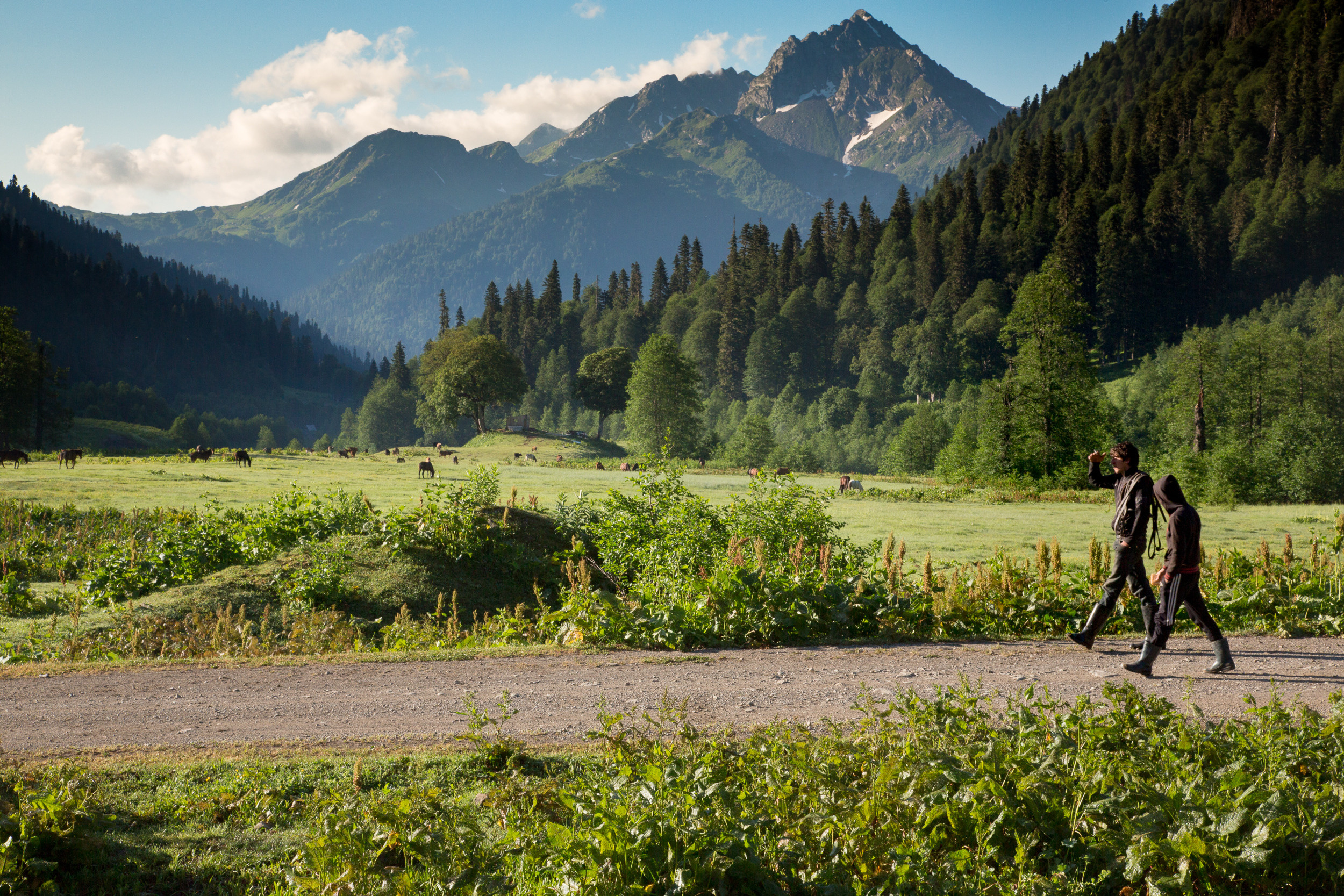 Татьяна Корчагина. Фотограф, художник. Обучение фотографии