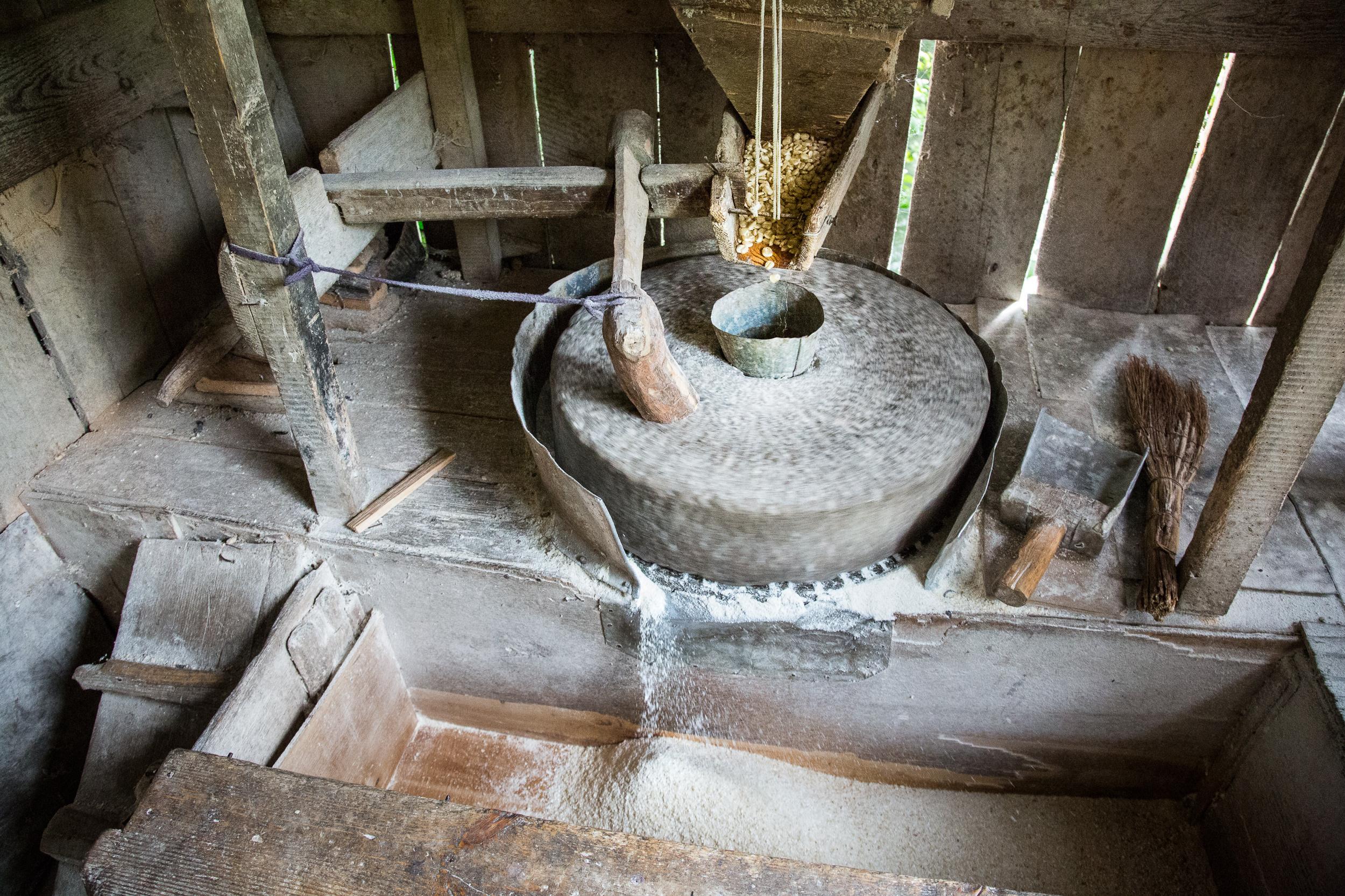 Татьяна Корчагина. Фотограф, художник. Обучение фотографии