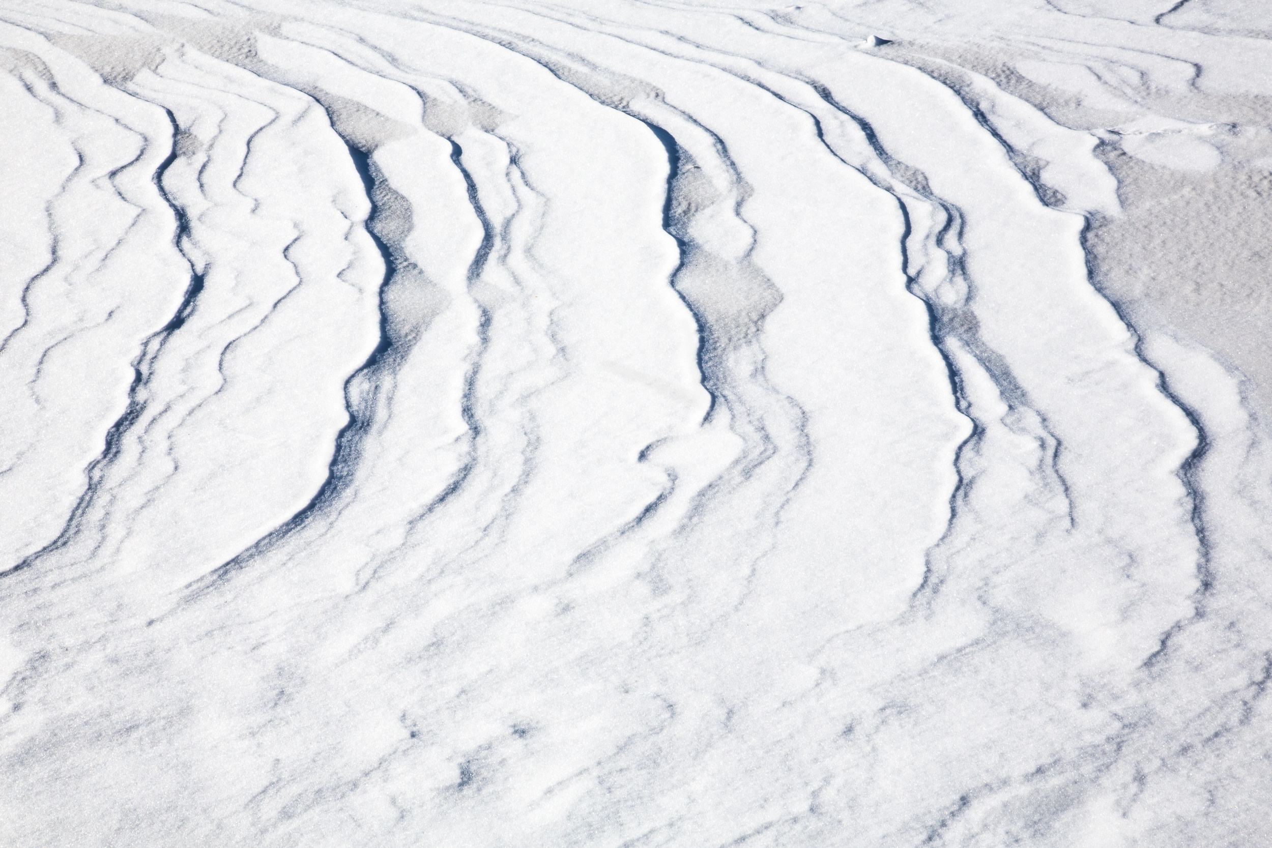 Татьяна Корчагина. Фотограф, художник. Обучение фотографии