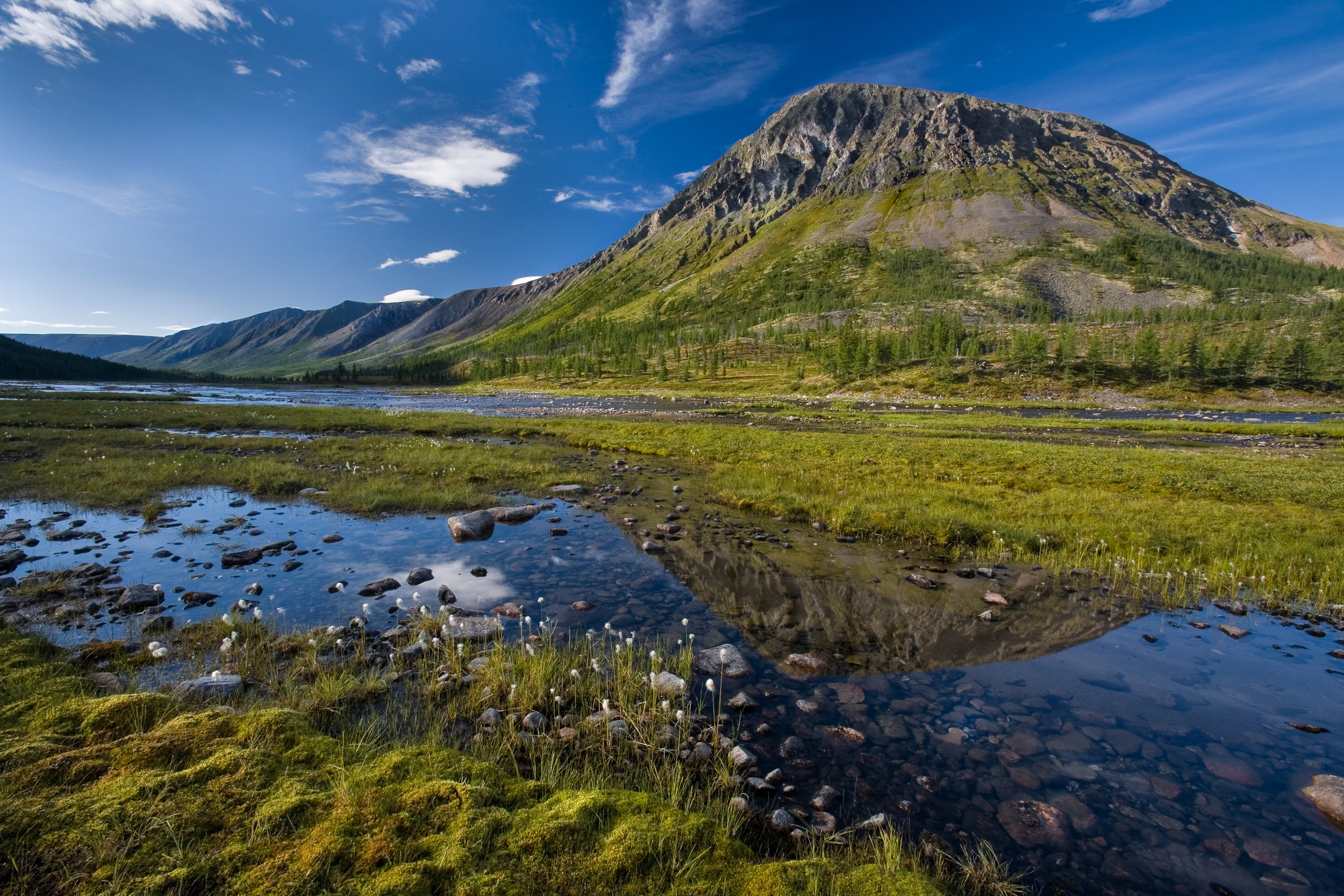 Татьяна Корчагина. Фотограф, художник. Обучение фотографии
