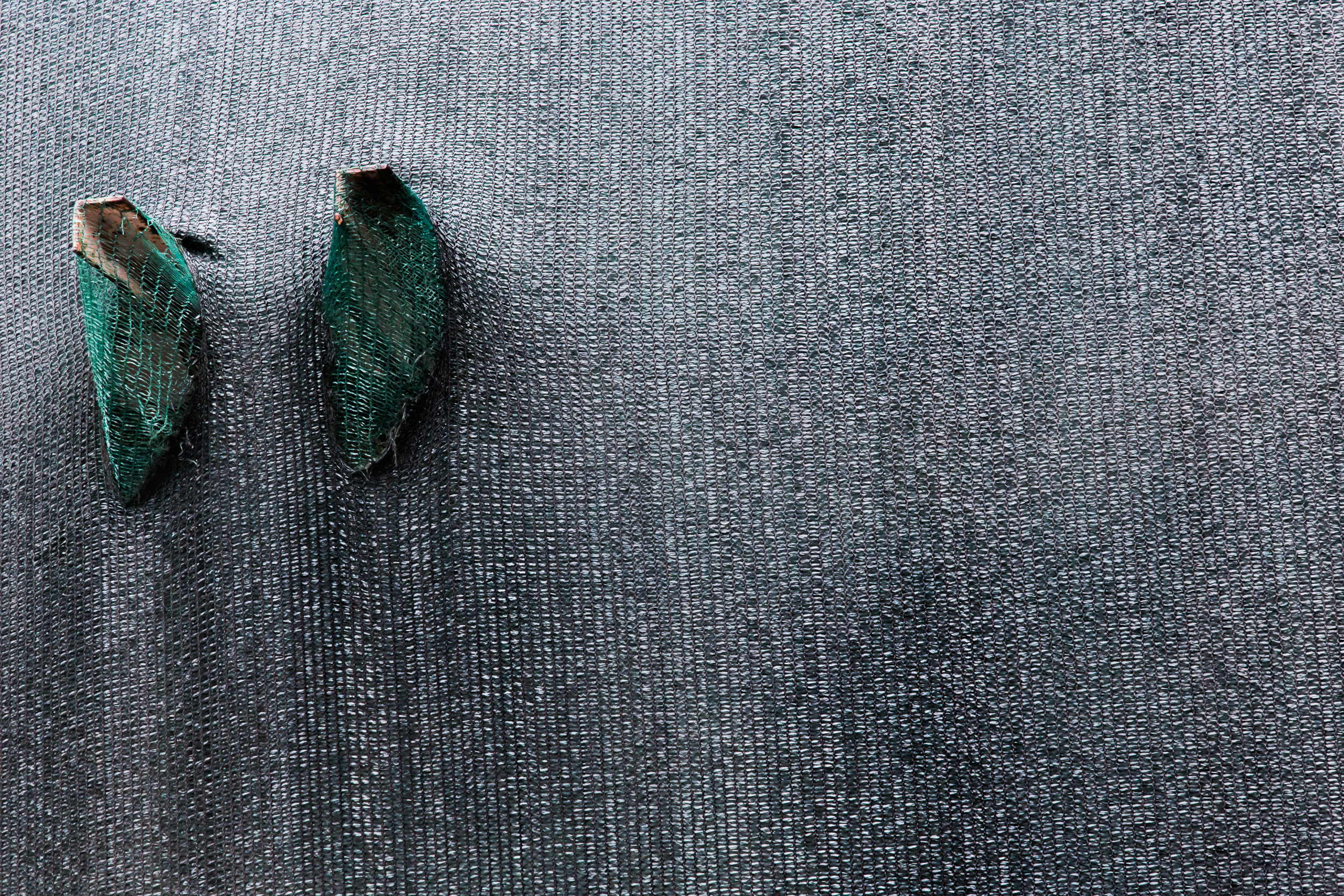 Татьяна Корчагина. Фотограф, художник. Обучение фотографии