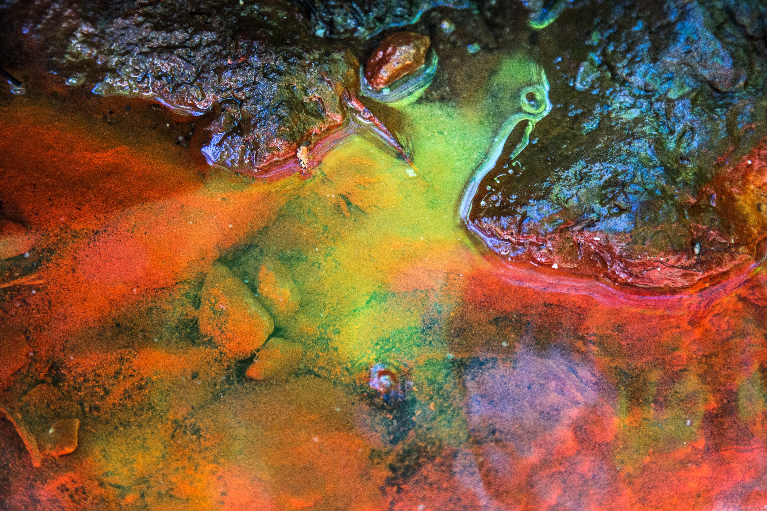 Татьяна Корчагина. Фотограф, художник. Обучение фотографии