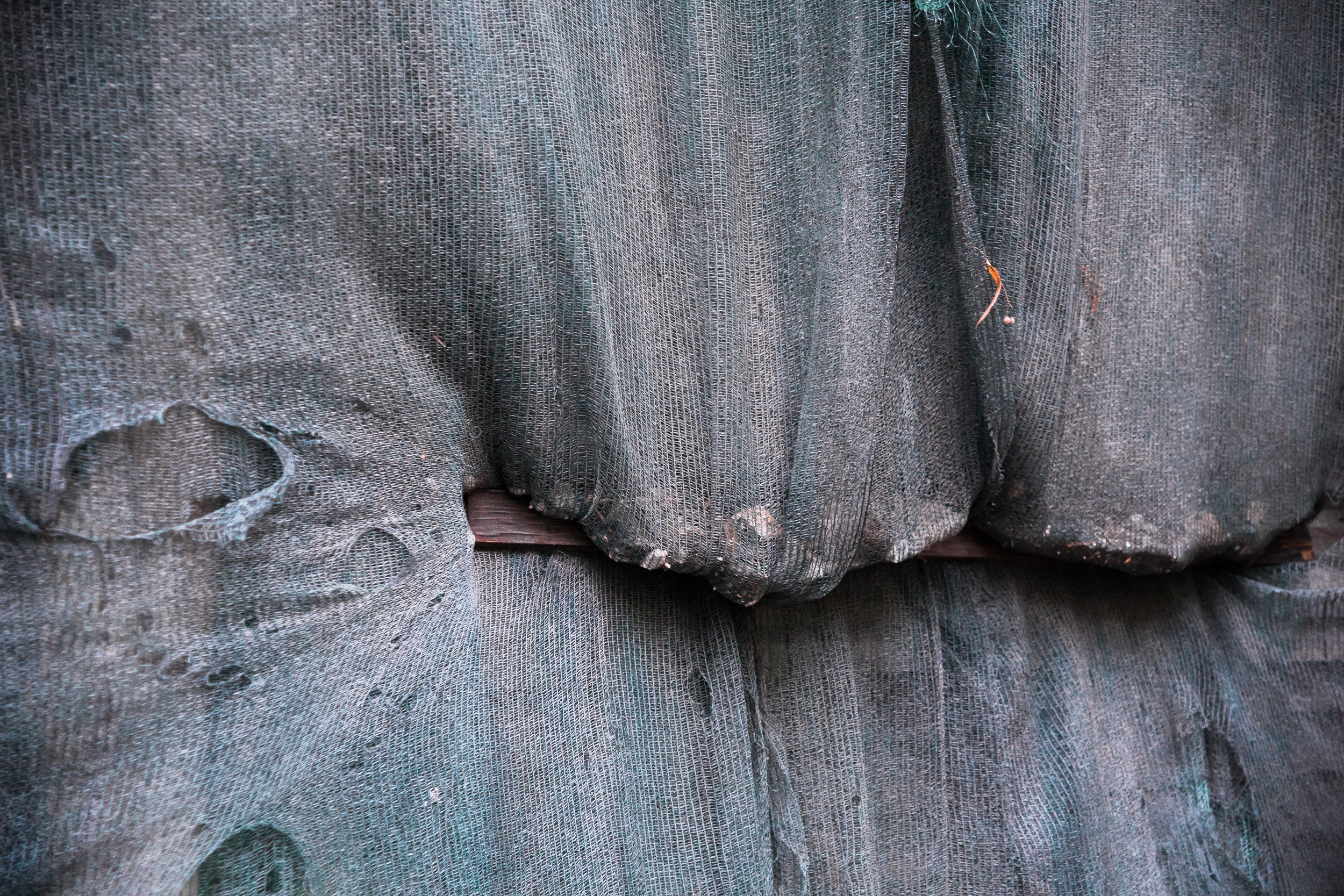 Татьяна Корчагина. Фотограф, художник. Обучение фотографии