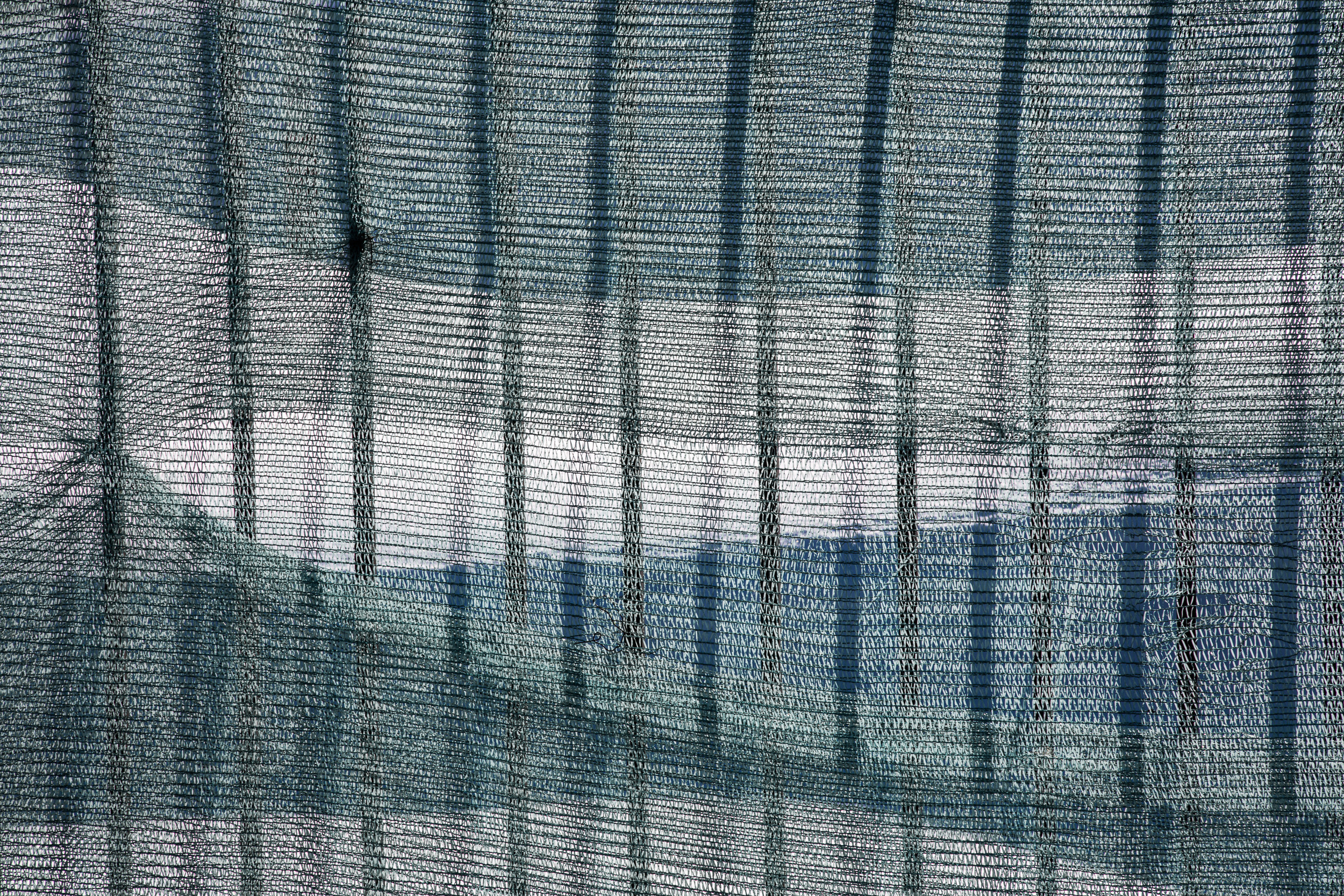 Татьяна Корчагина. Фотограф, художник. Обучение фотографии