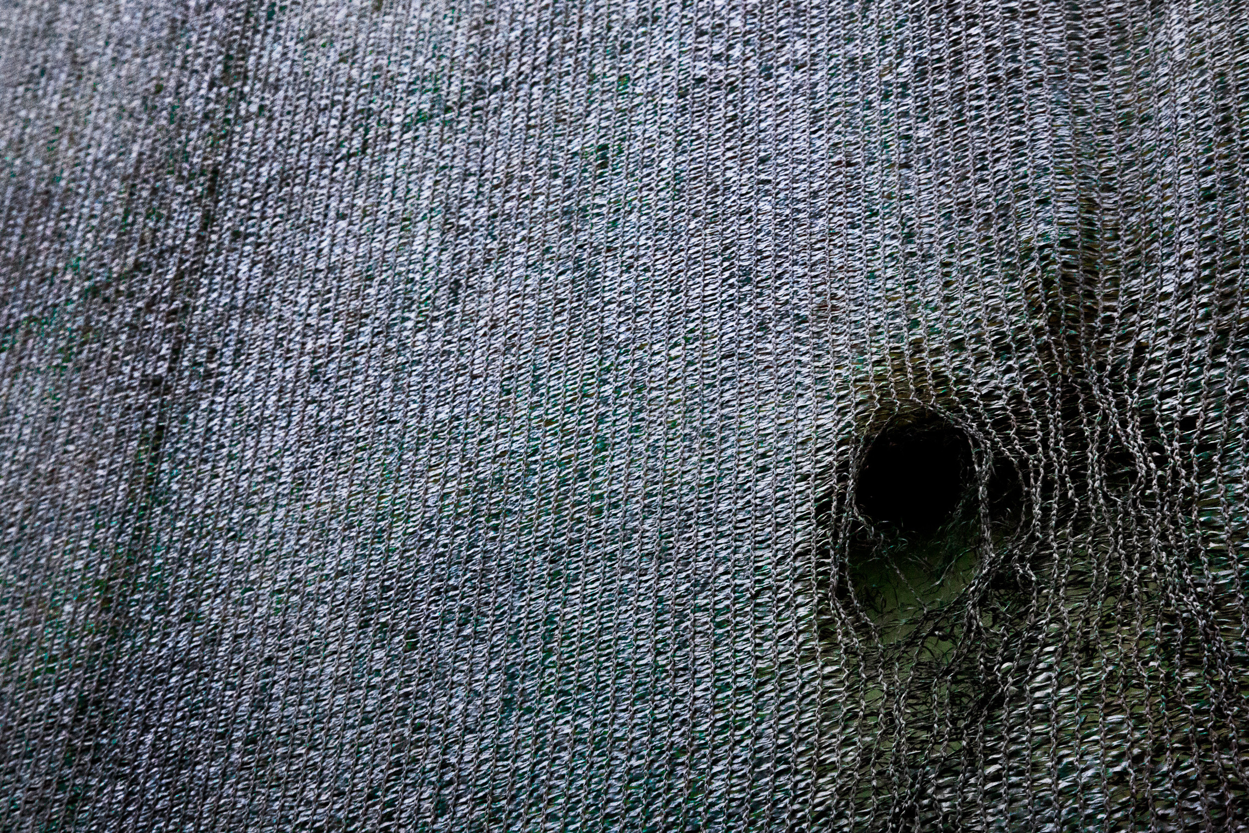 Татьяна Корчагина. Фотограф, художник. Обучение фотографии