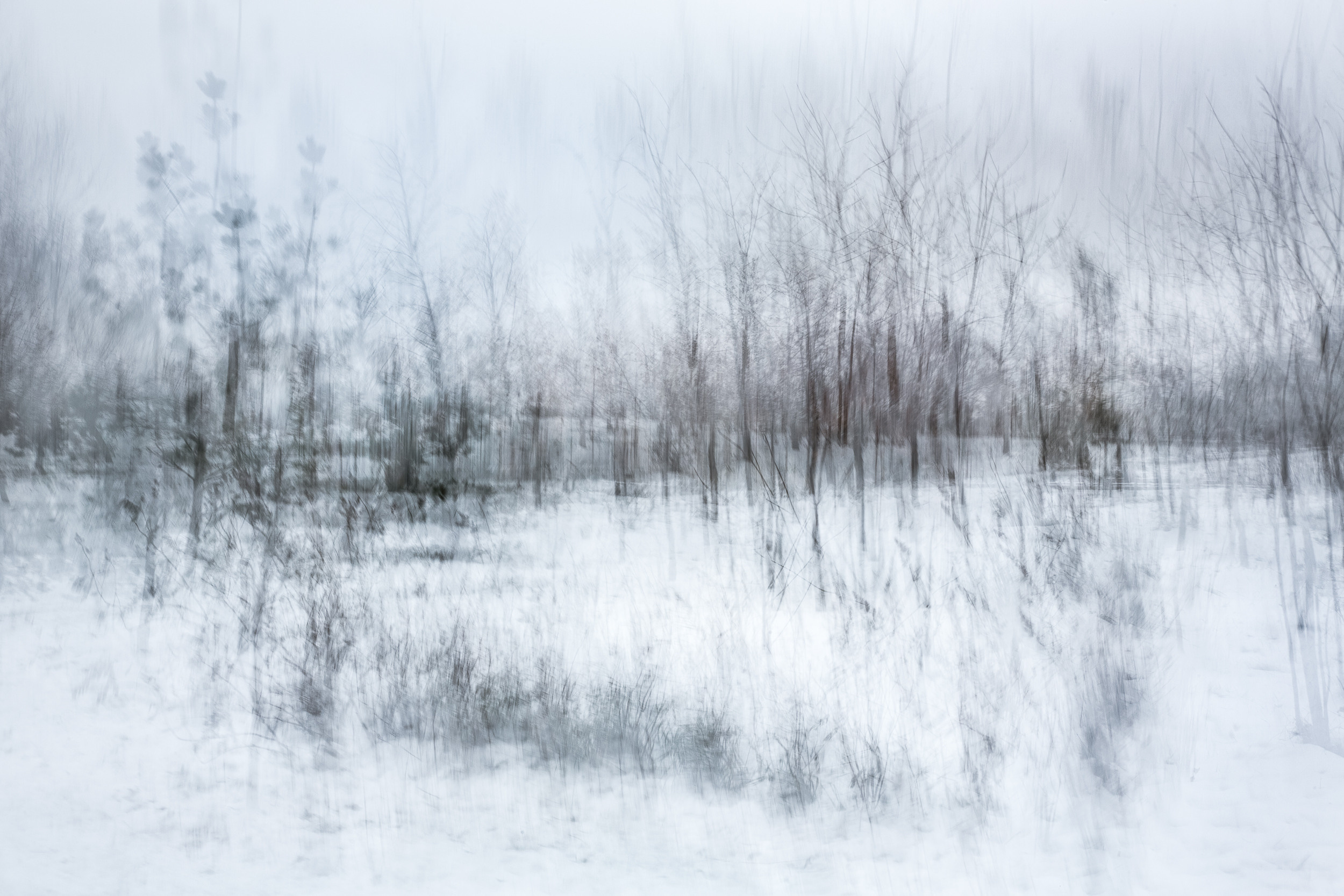 Татьяна Корчагина. Фотограф, художник. Обучение фотографии