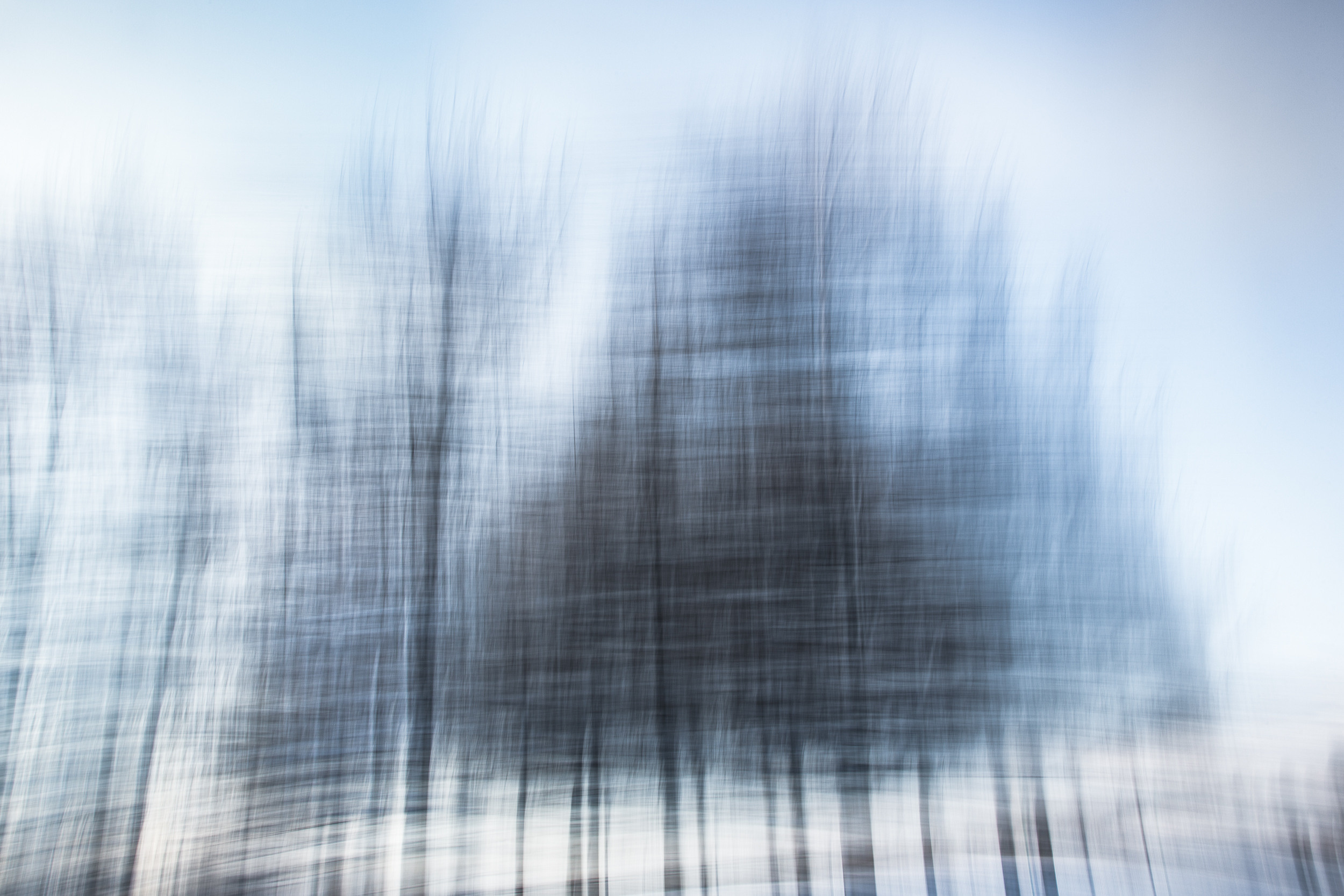 Татьяна Корчагина. Фотограф, художник. Обучение фотографии