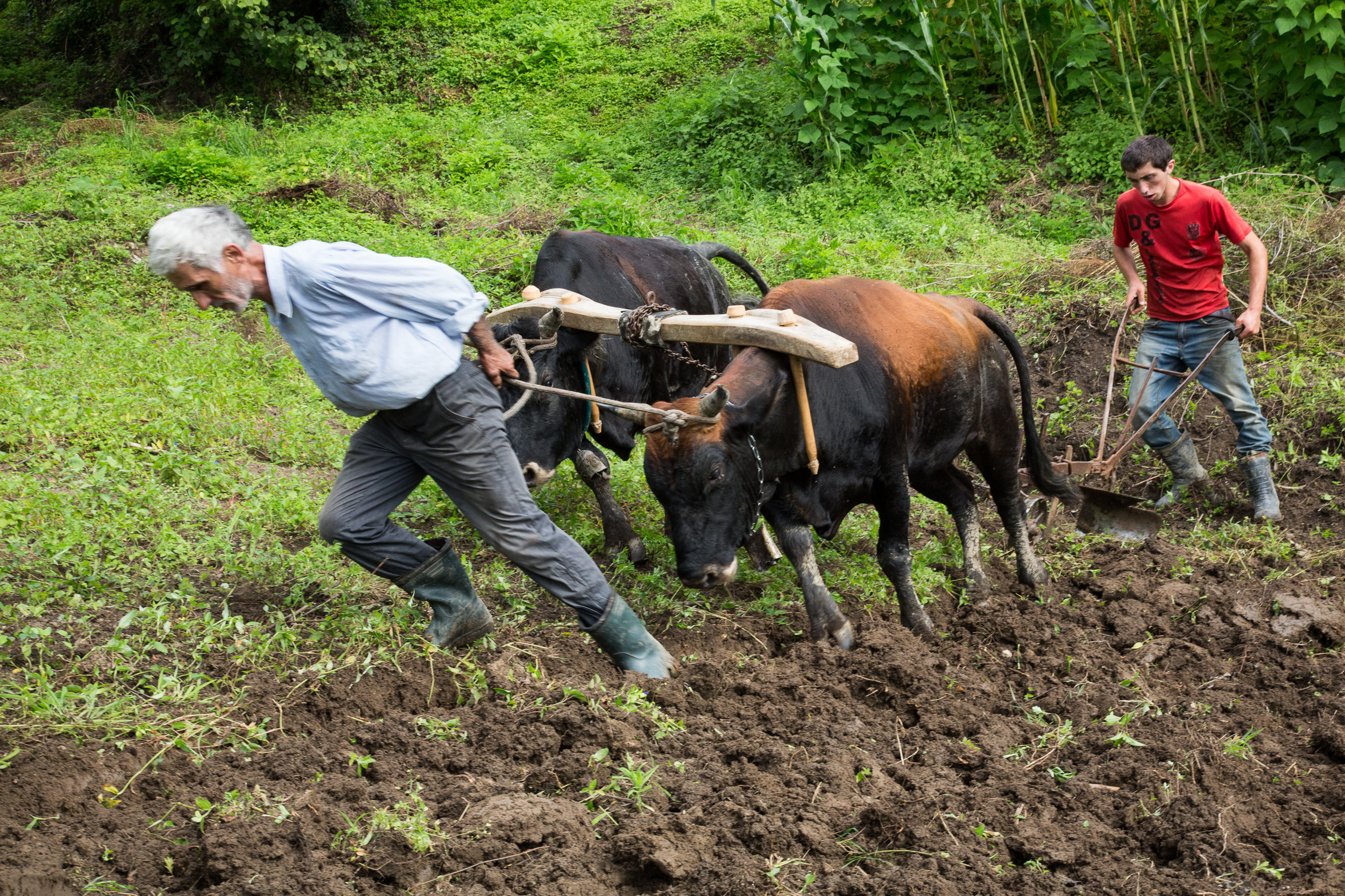 Татьяна Корчагина. Фотограф, художник. Обучение фотографии