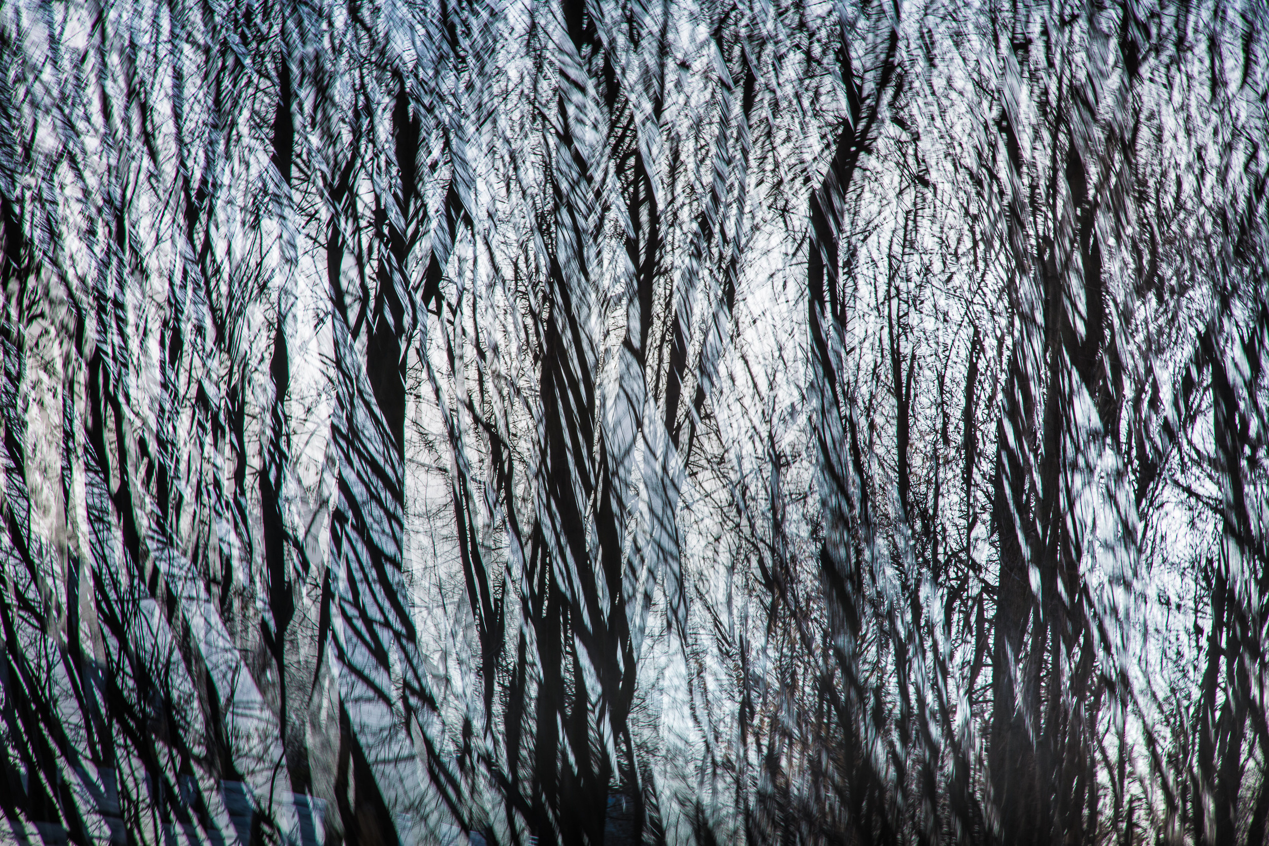 Татьяна Корчагина. Фотограф, художник. Обучение фотографии