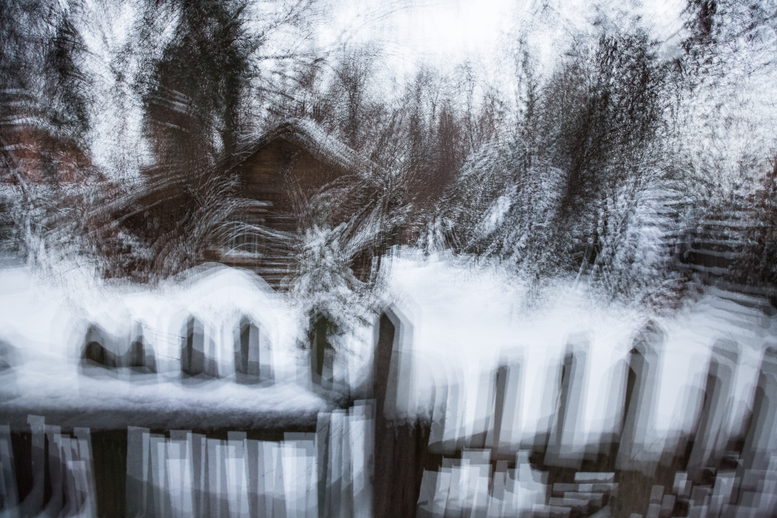 Татьяна Корчагина. Фотограф, художник. Обучение фотографии