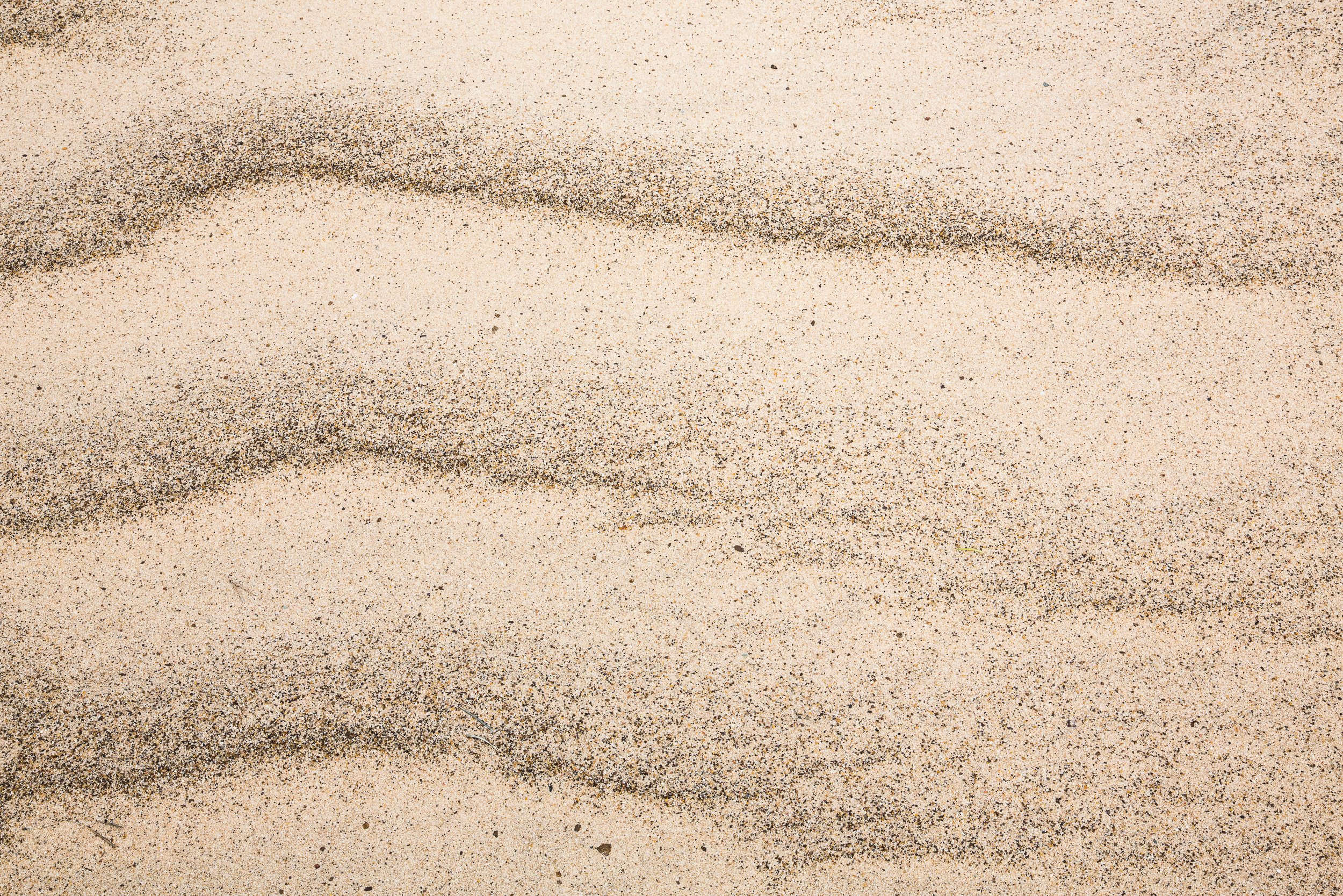 Татьяна Корчагина. Фотограф, художник. Обучение фотографии