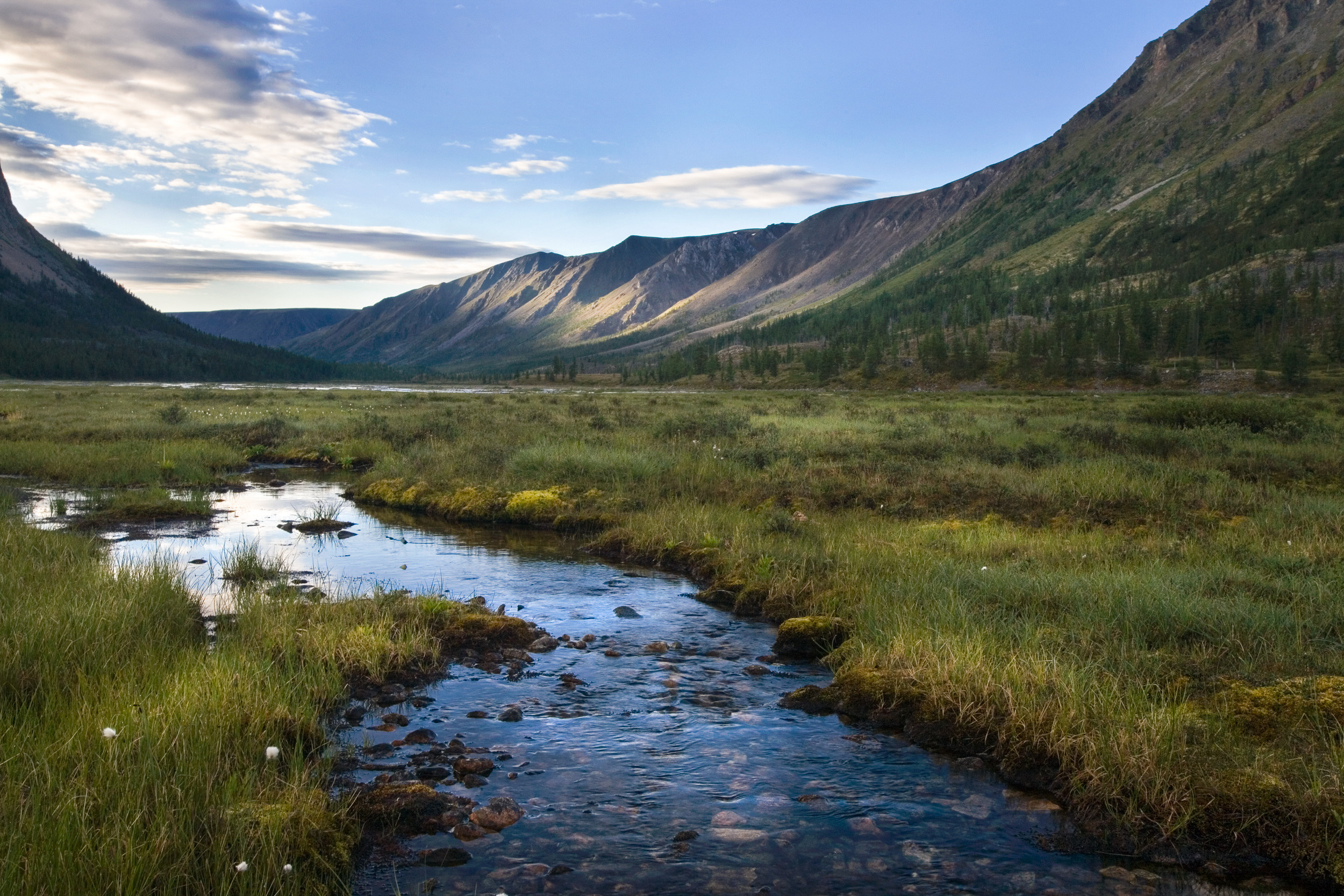 Татьяна Корчагина. Фотограф, художник. Обучение фотографии