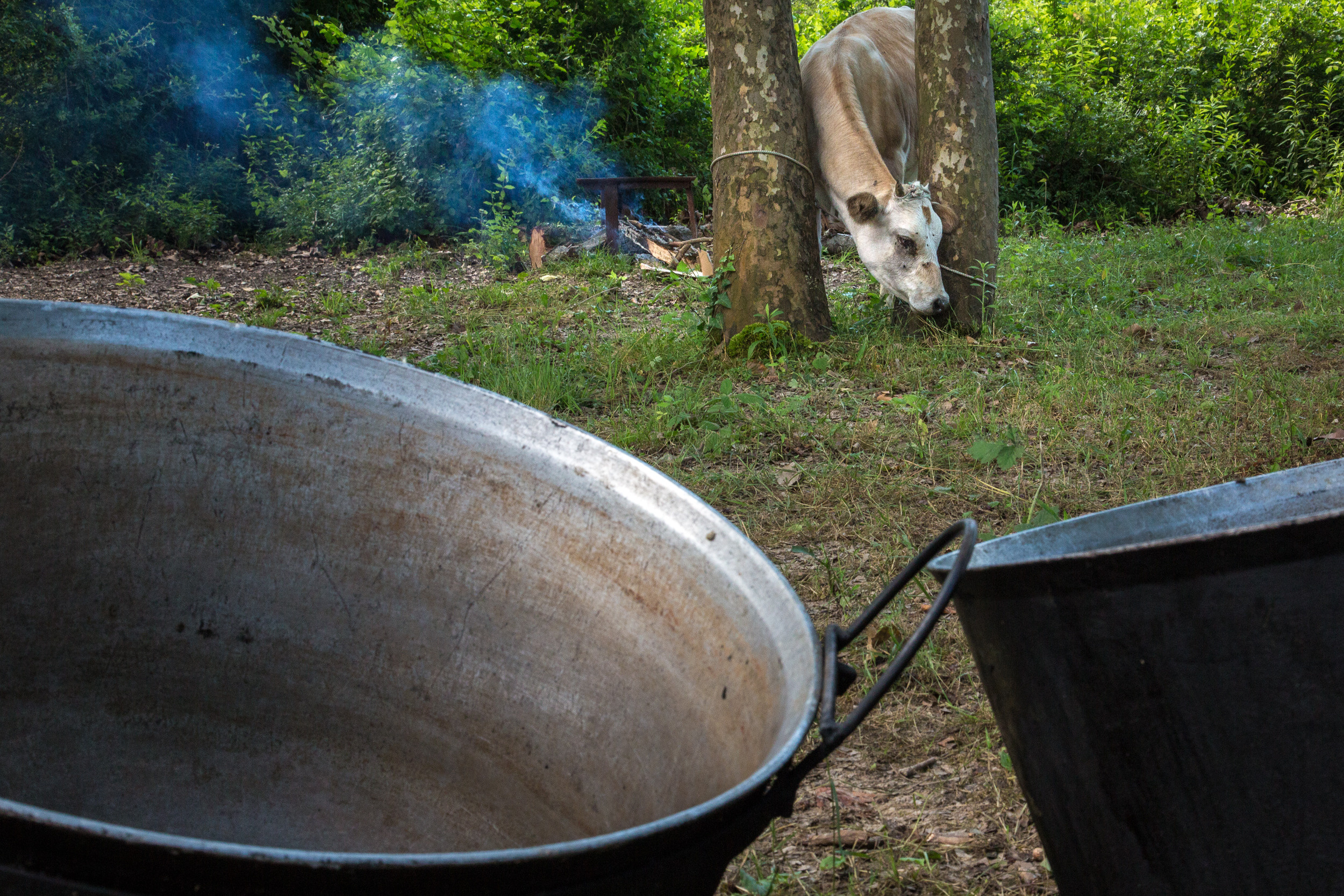 Татьяна Корчагина. Фотограф, художник. Обучение фотографии