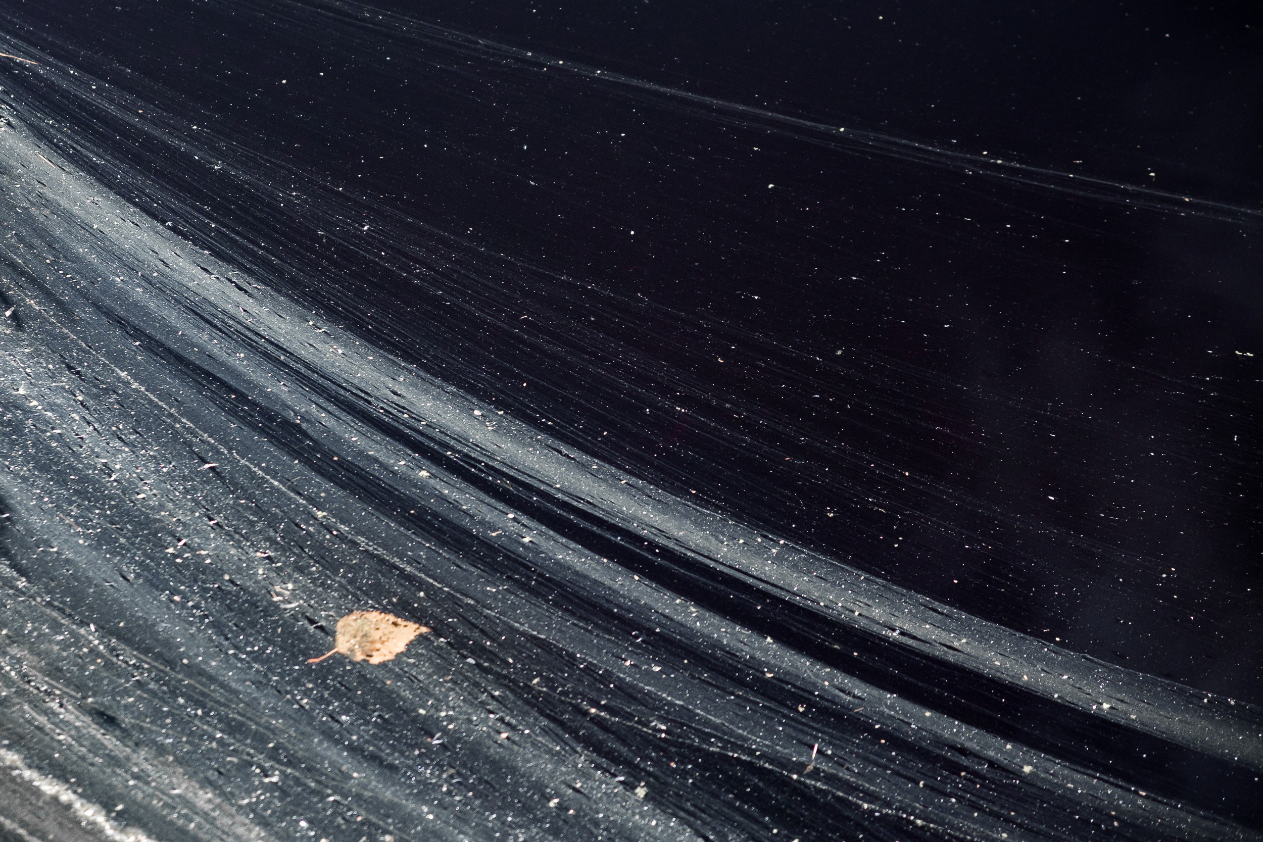 Татьяна Корчагина. Фотограф, художник. Обучение фотографии