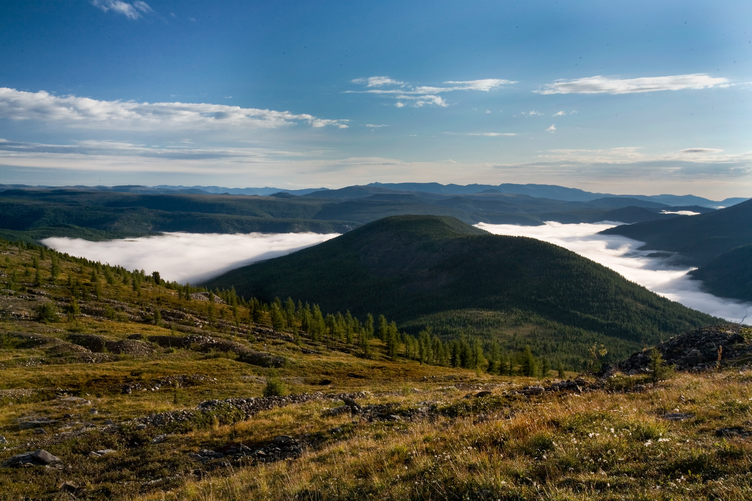 Татьяна Корчагина. Фотограф, художник. Обучение фотографии