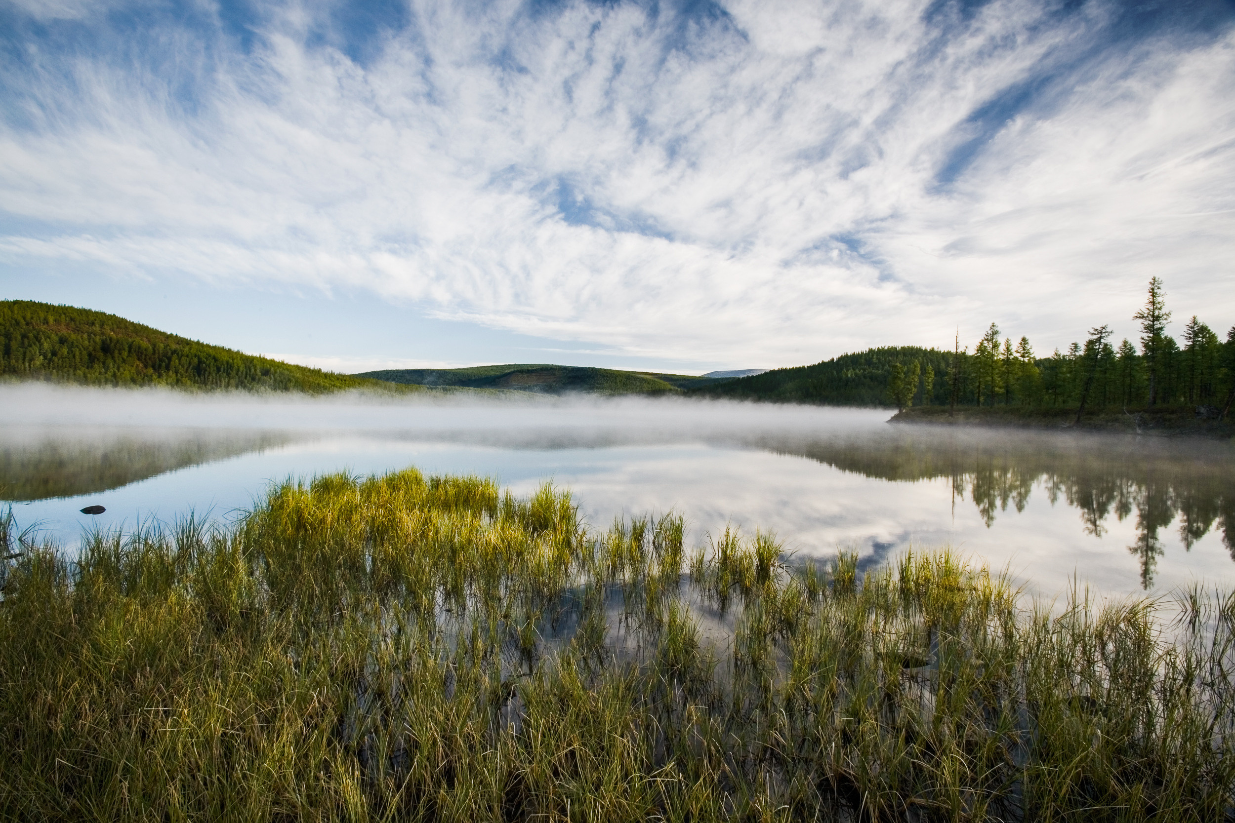 Татьяна Корчагина. Фотограф, художник. Обучение фотографии