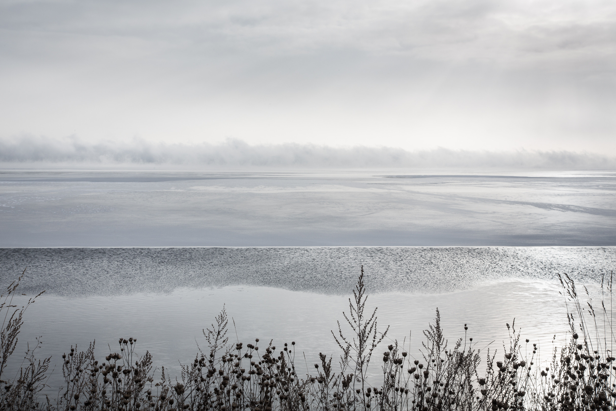 Татьяна Корчагина. Фотограф, художник. Обучение фотографии