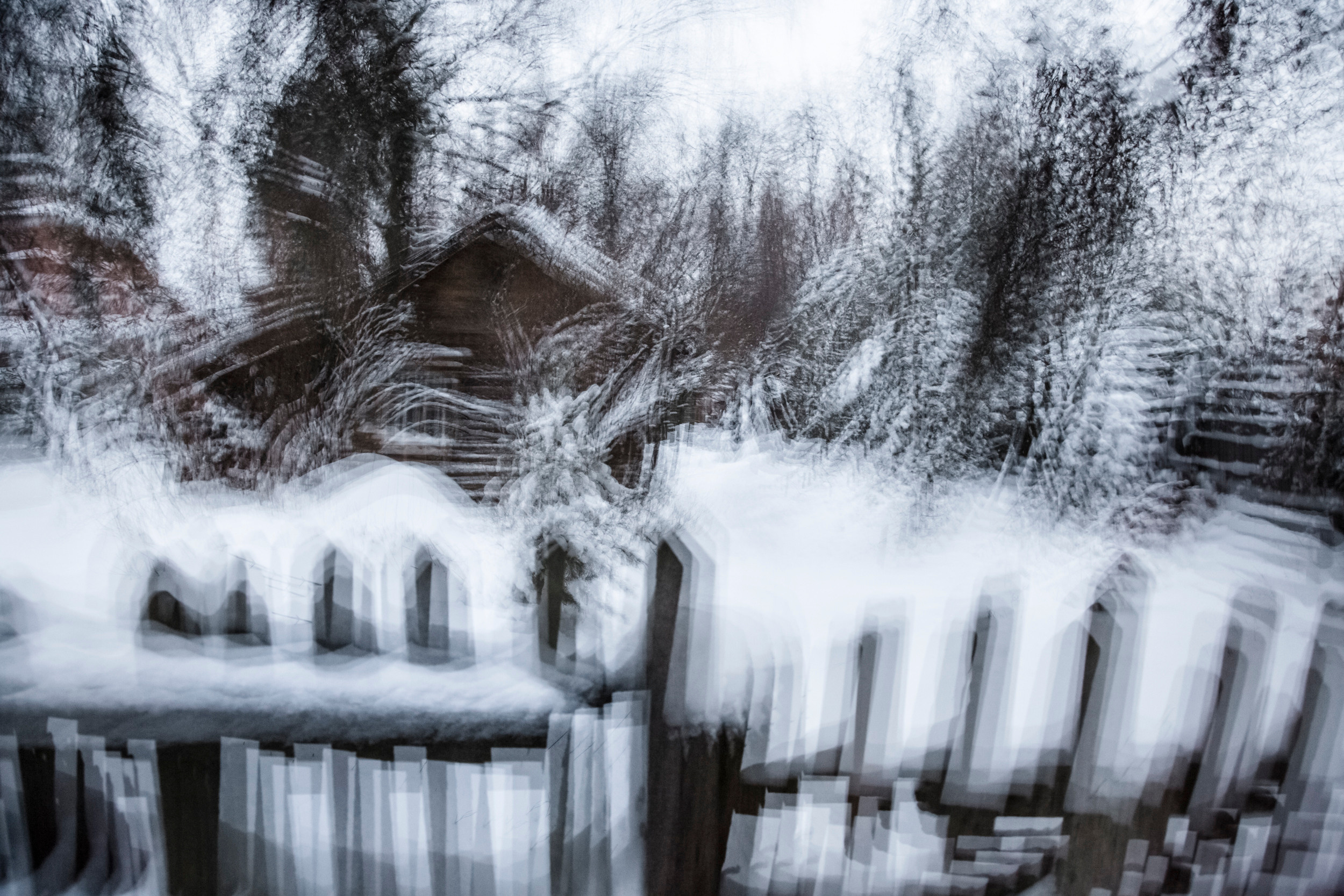 Татьяна Корчагина. Фотограф, художник. Обучение фотографии