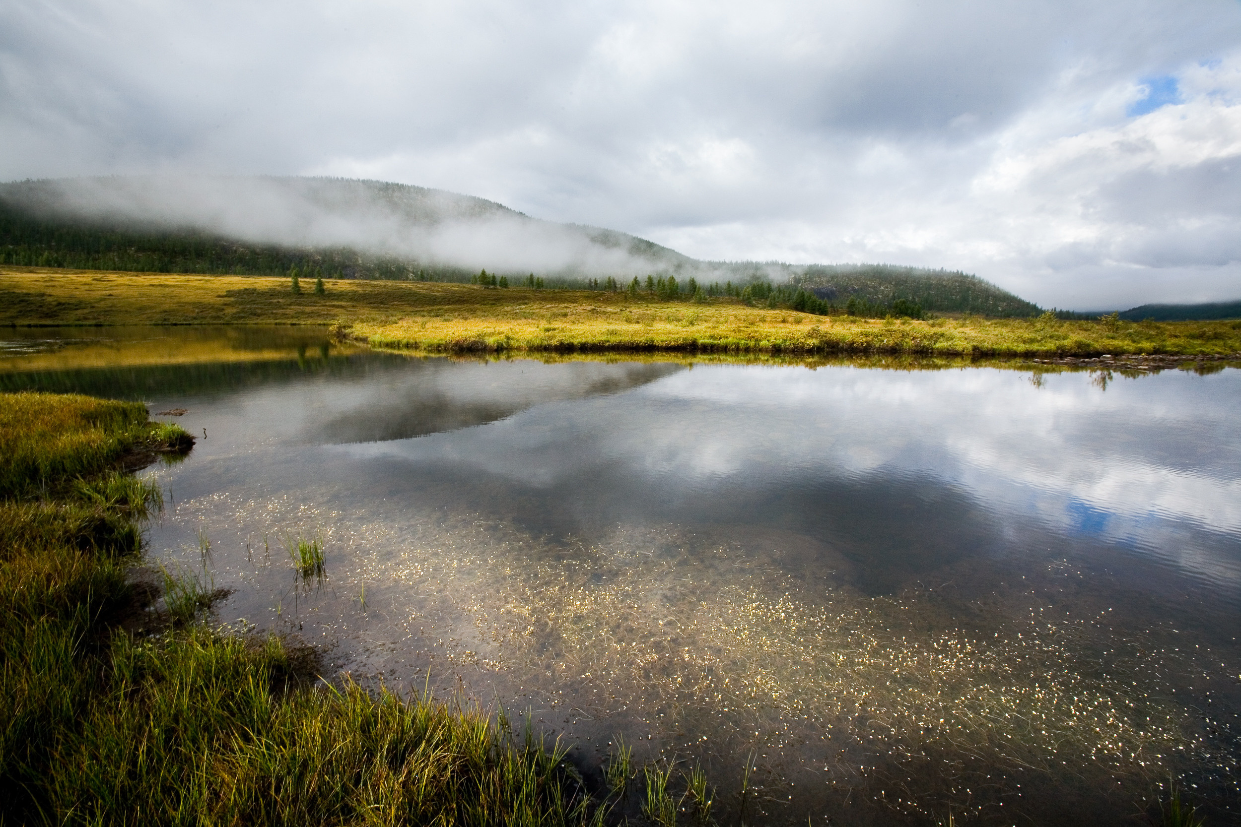 Татьяна Корчагина. Фотограф, художник. Обучение фотографии