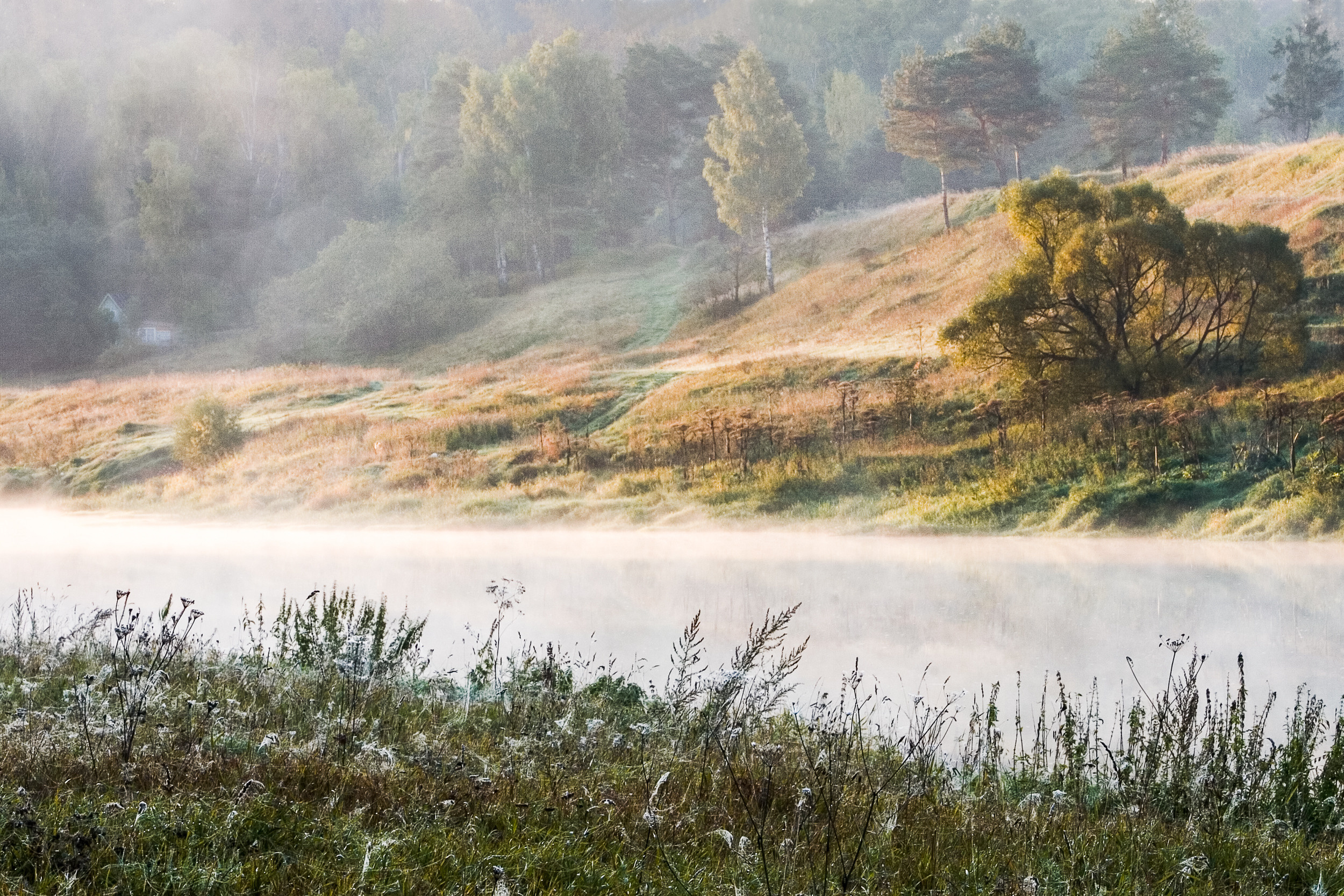 Татьяна Корчагина. Фотограф, художник. Обучение фотографии