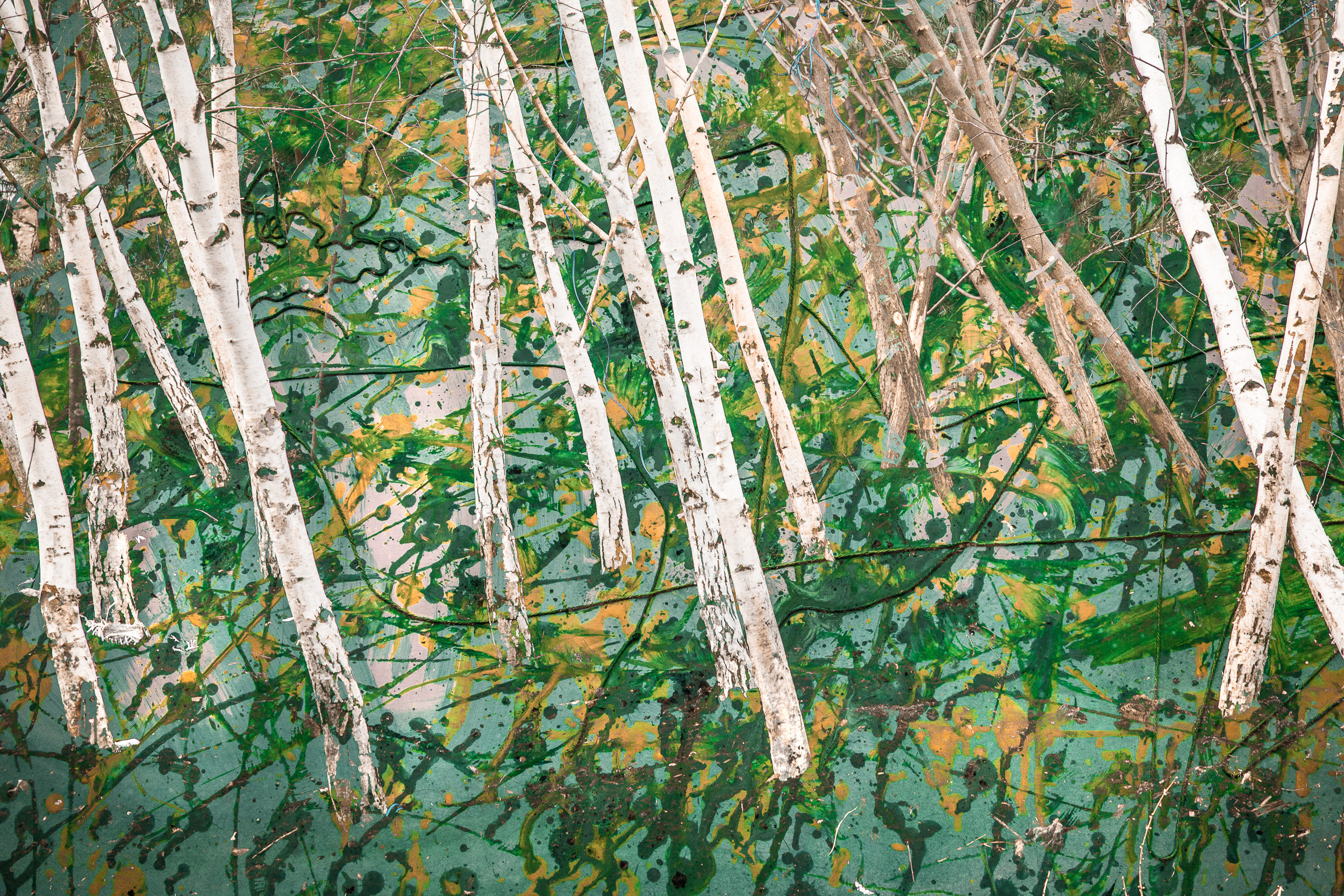 Татьяна Корчагина. Фотограф, художник. Обучение фотографии