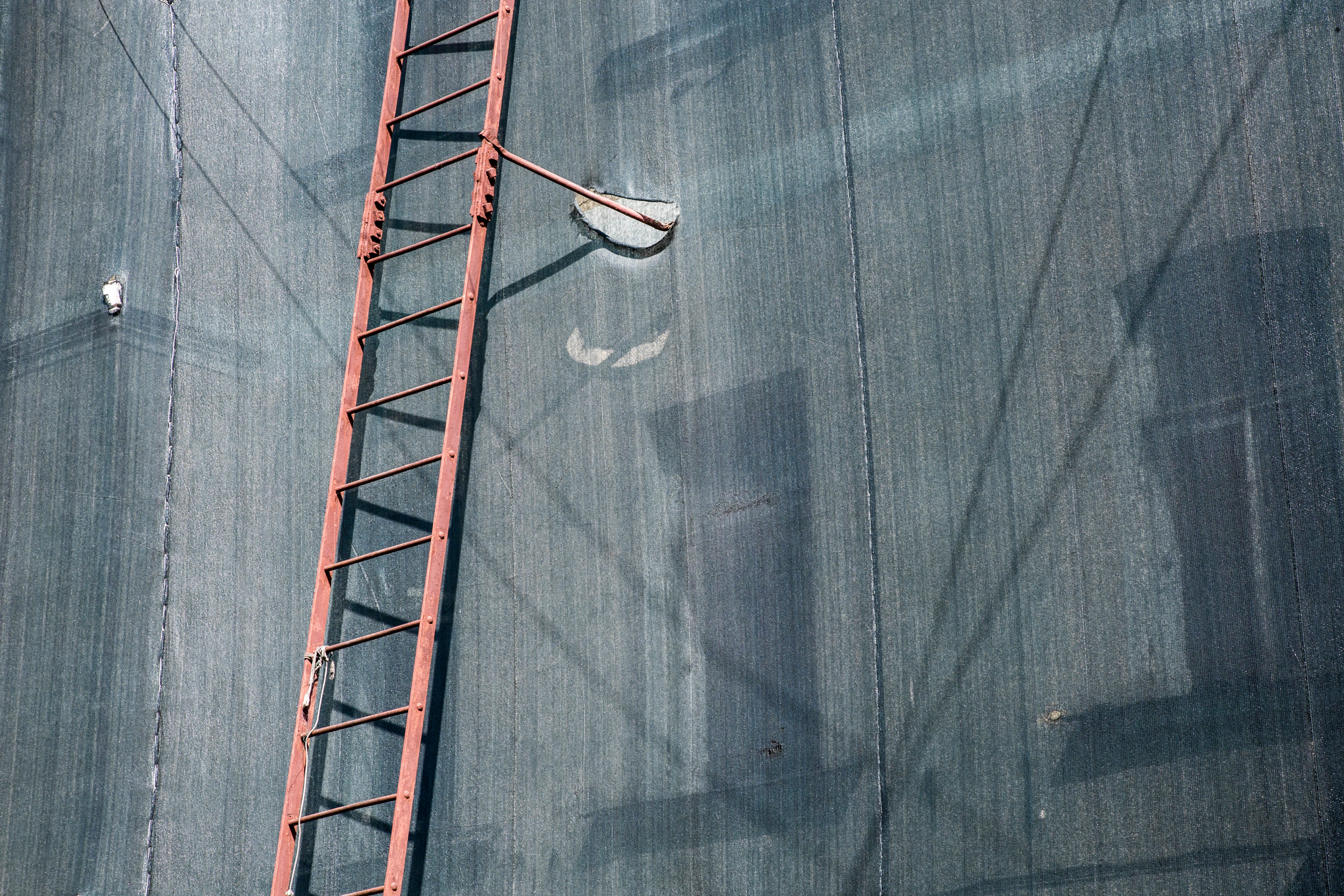 Татьяна Корчагина. Фотограф, художник. Обучение фотографии