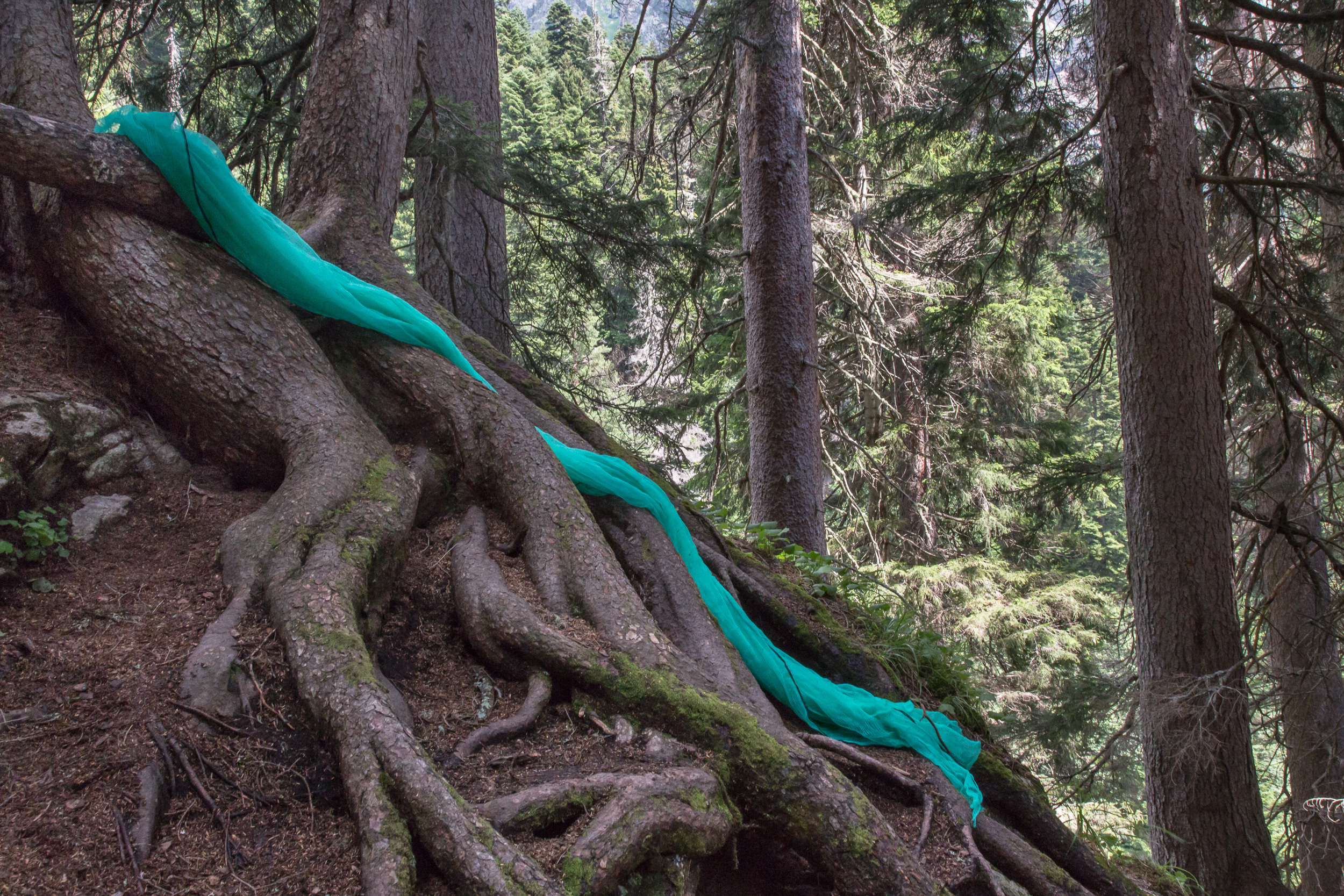 Татьяна Корчагина. Фотограф, художник. Обучение фотографии