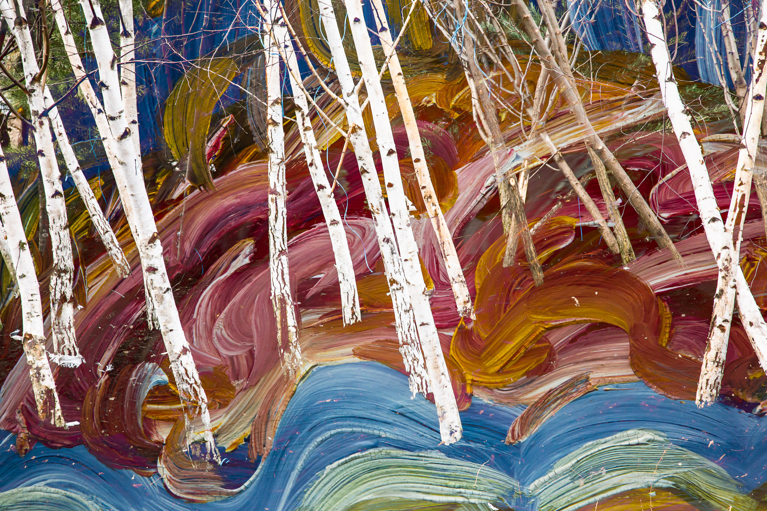 Татьяна Корчагина. Фотограф, художник. Обучение фотографии