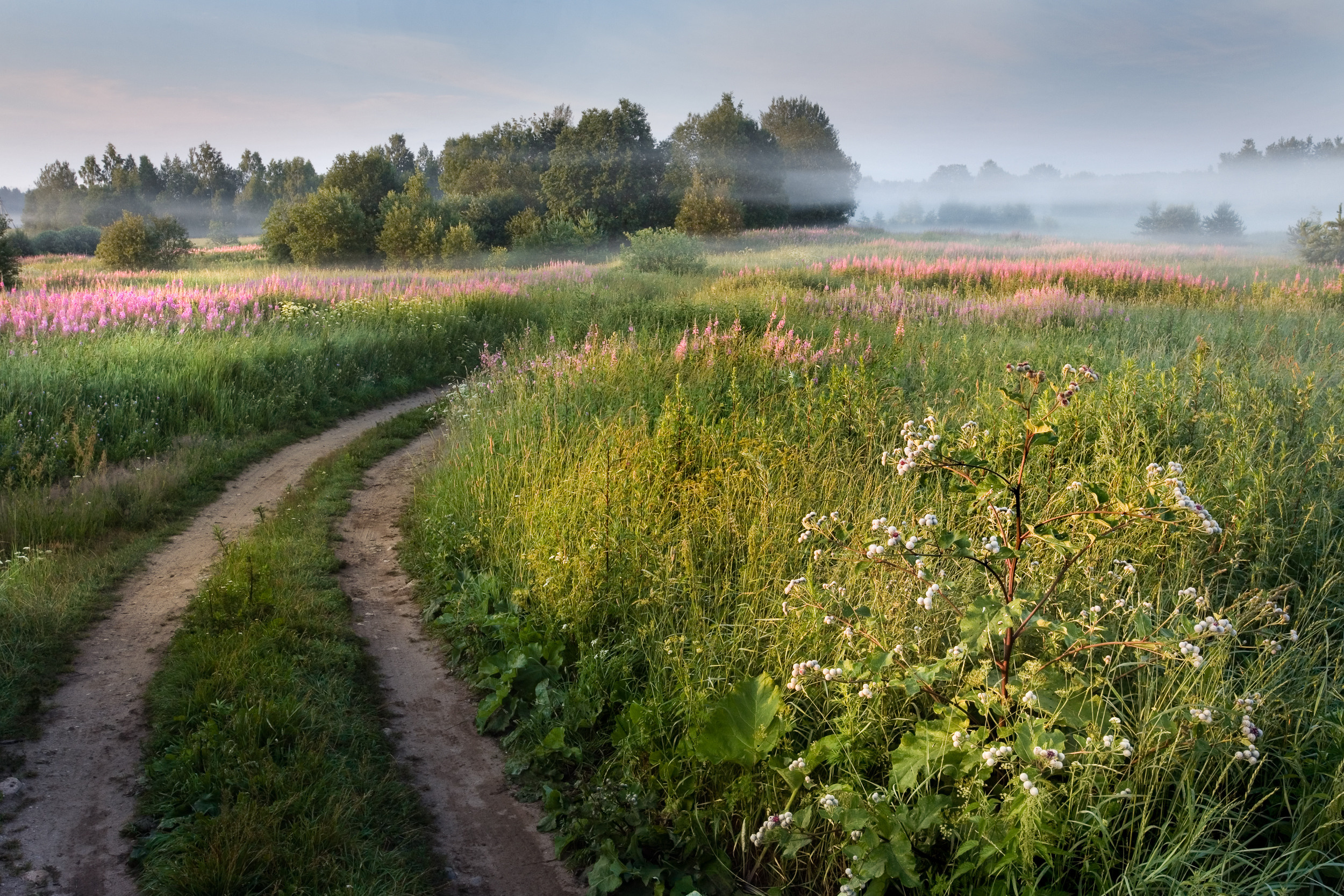 Татьяна Корчагина. Фотограф, художник. Обучение фотографии