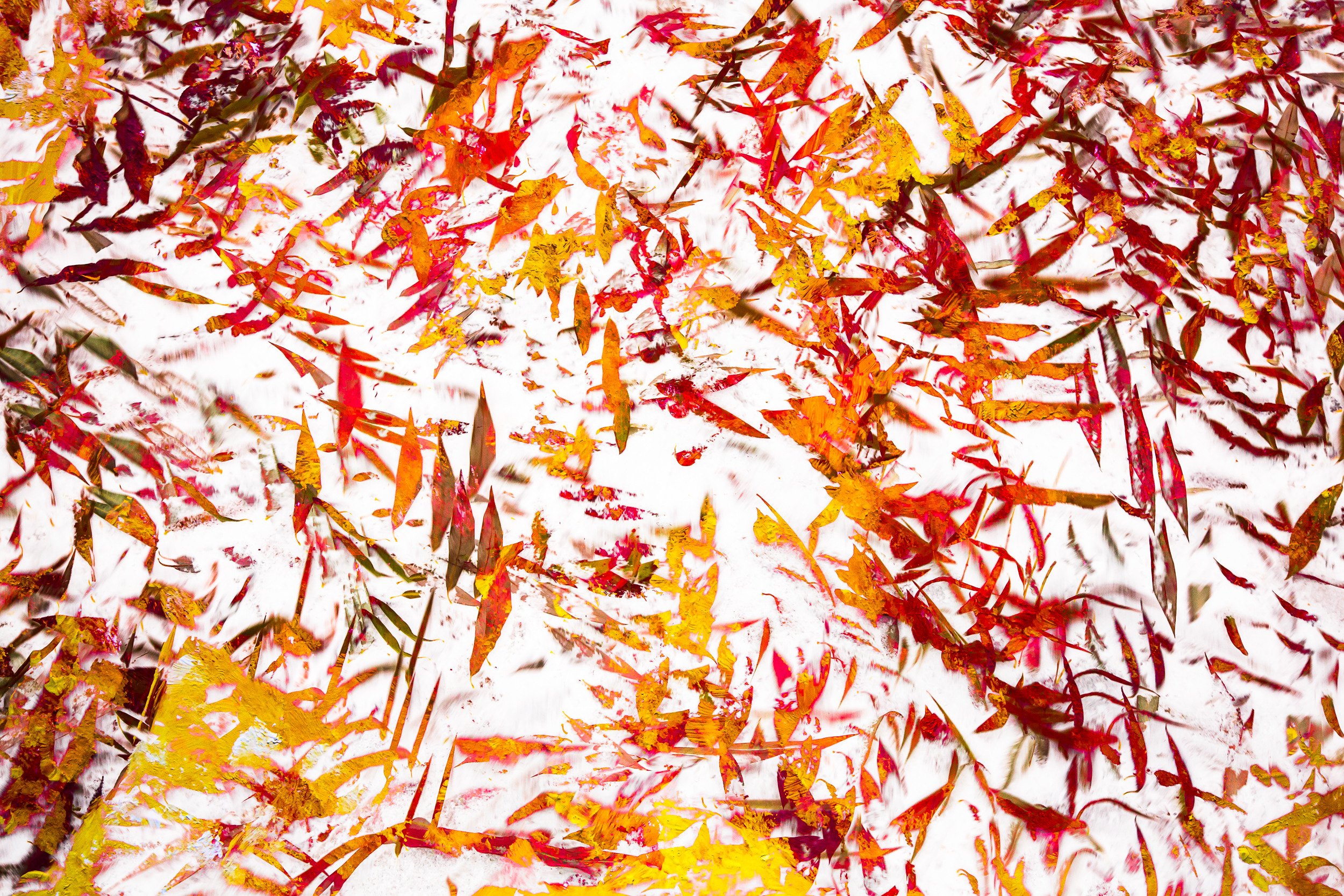 Татьяна Корчагина. Фотограф, художник. Обучение фотографии