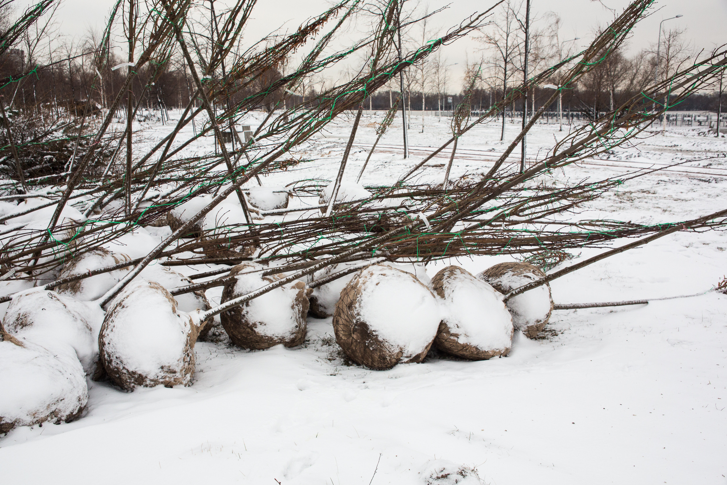 Татьяна Корчагина. Фотограф, художник. Обучение фотографии