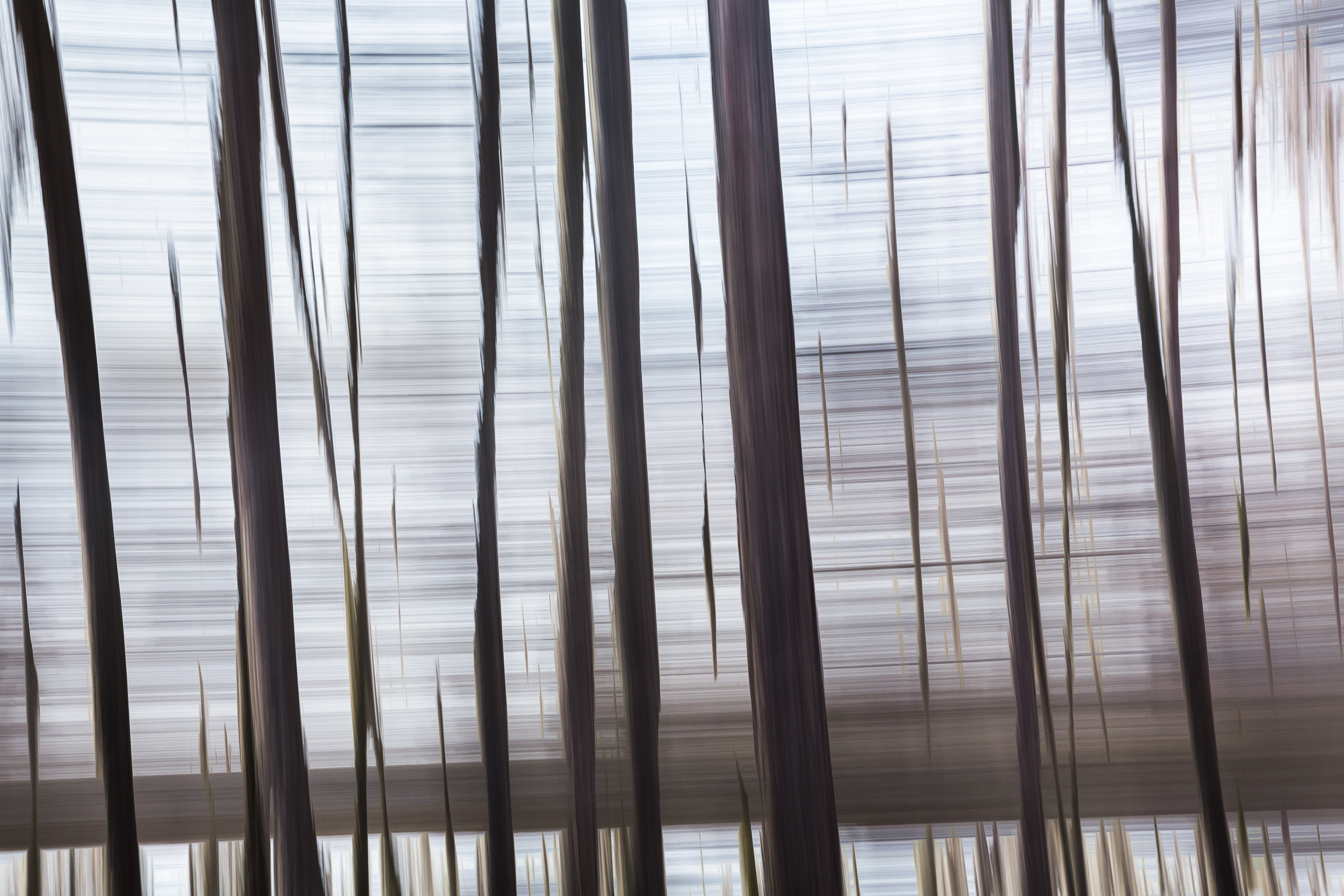 Татьяна Корчагина. Фотограф, художник. Обучение фотографии