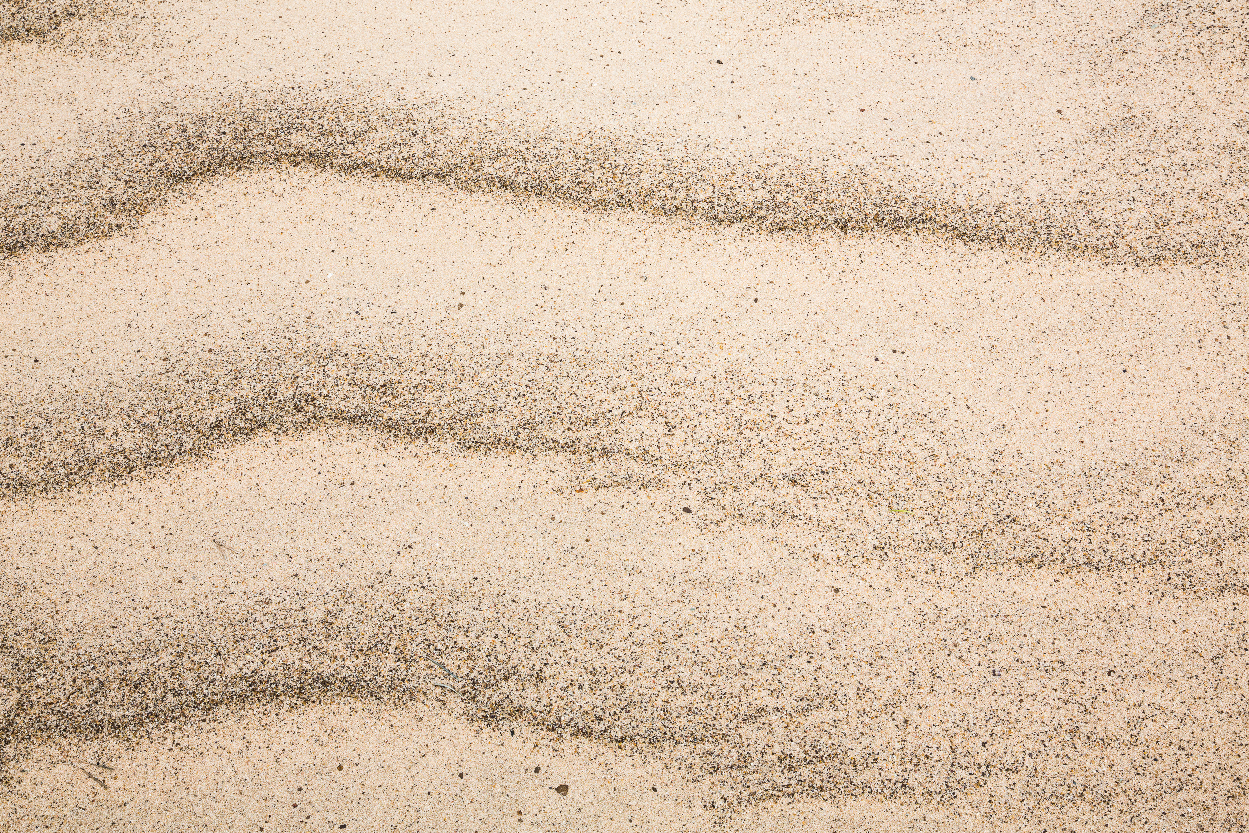 Татьяна Корчагина. Фотограф, художник. Обучение фотографии