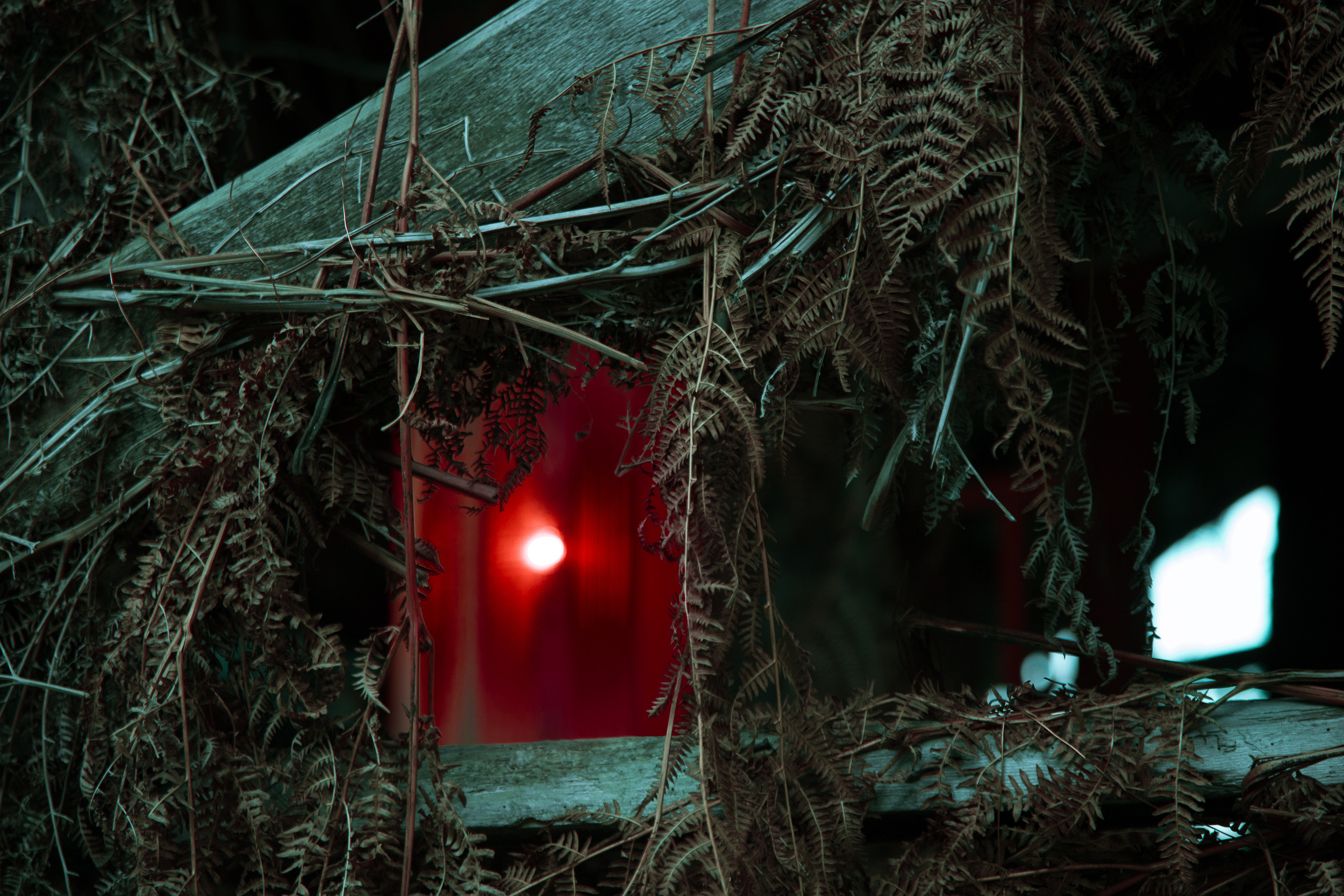 Татьяна Корчагина. Фотограф, художник. Обучение фотографии