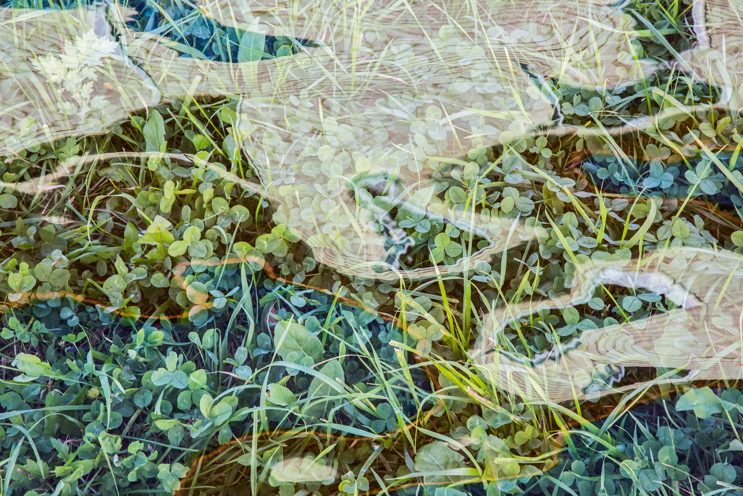 Татьяна Корчагина. Фотограф, художник. Обучение фотографии