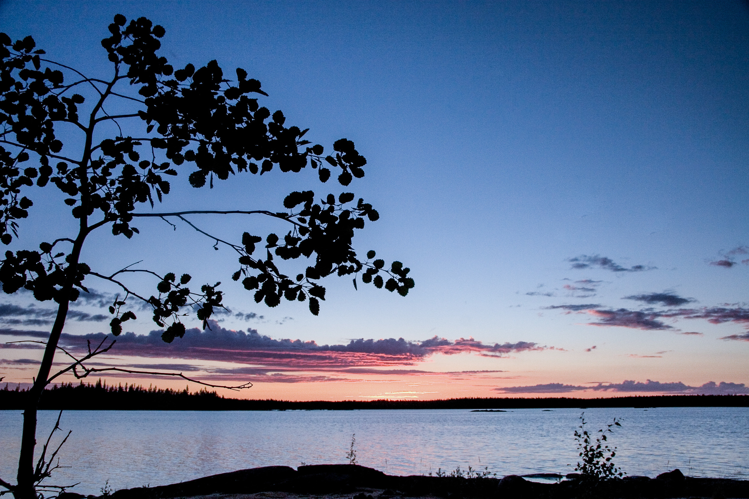 Татьяна Корчагина. Фотограф, художник. Обучение фотографии